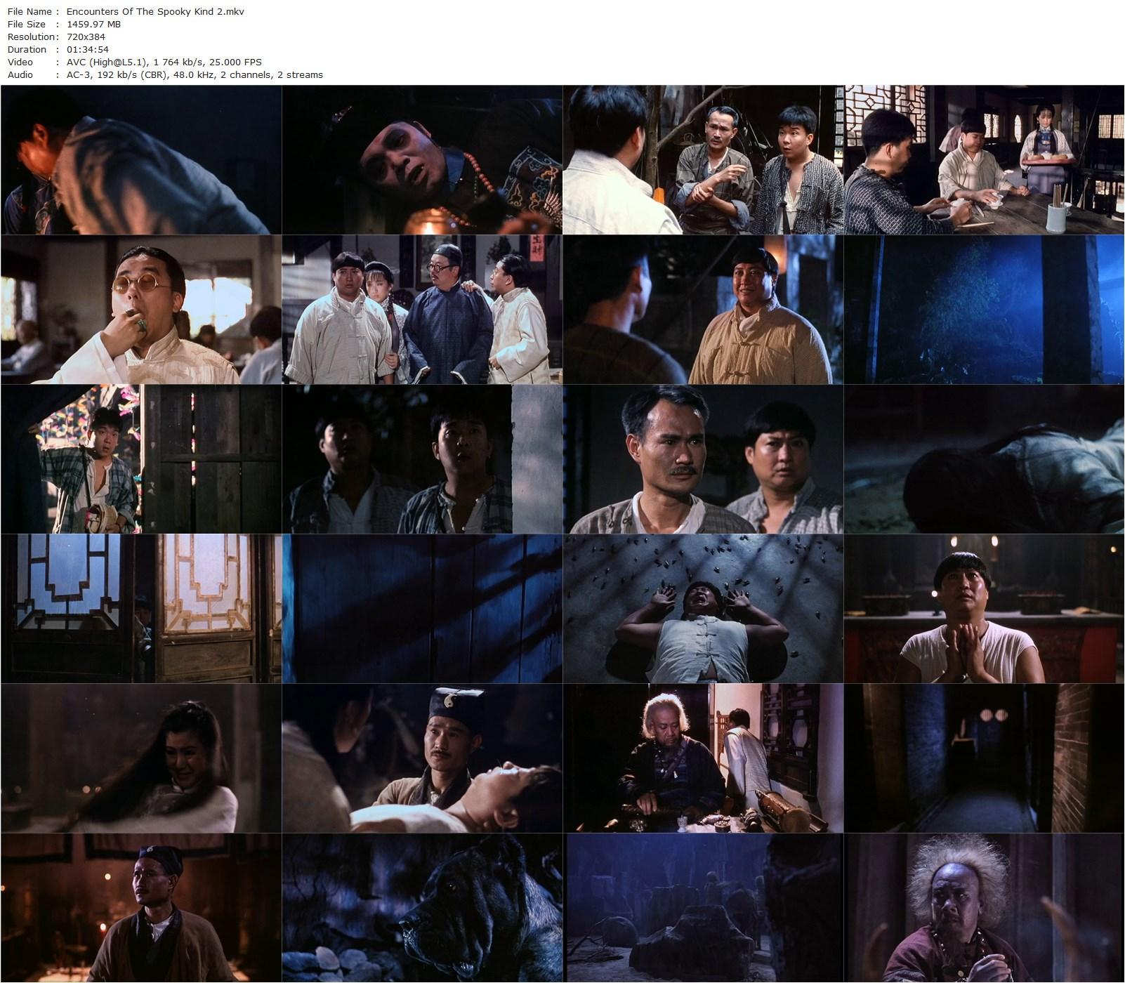 Encounter of the Spooky Kind II AKA Gui yao gui (1989) Ricky Lau, Sammo Kam-Bo Hung, Ching-Ying Lam, Hoi Mang-poster