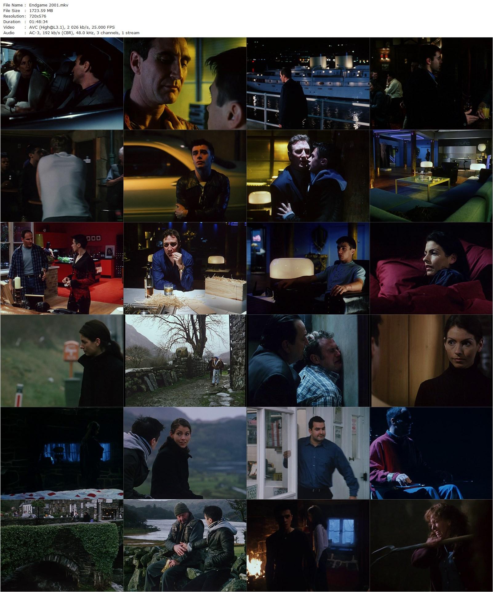 Endgame (2001) Gary Wicks, Daniel Newman, Corey Johnson, Toni Barry-poster