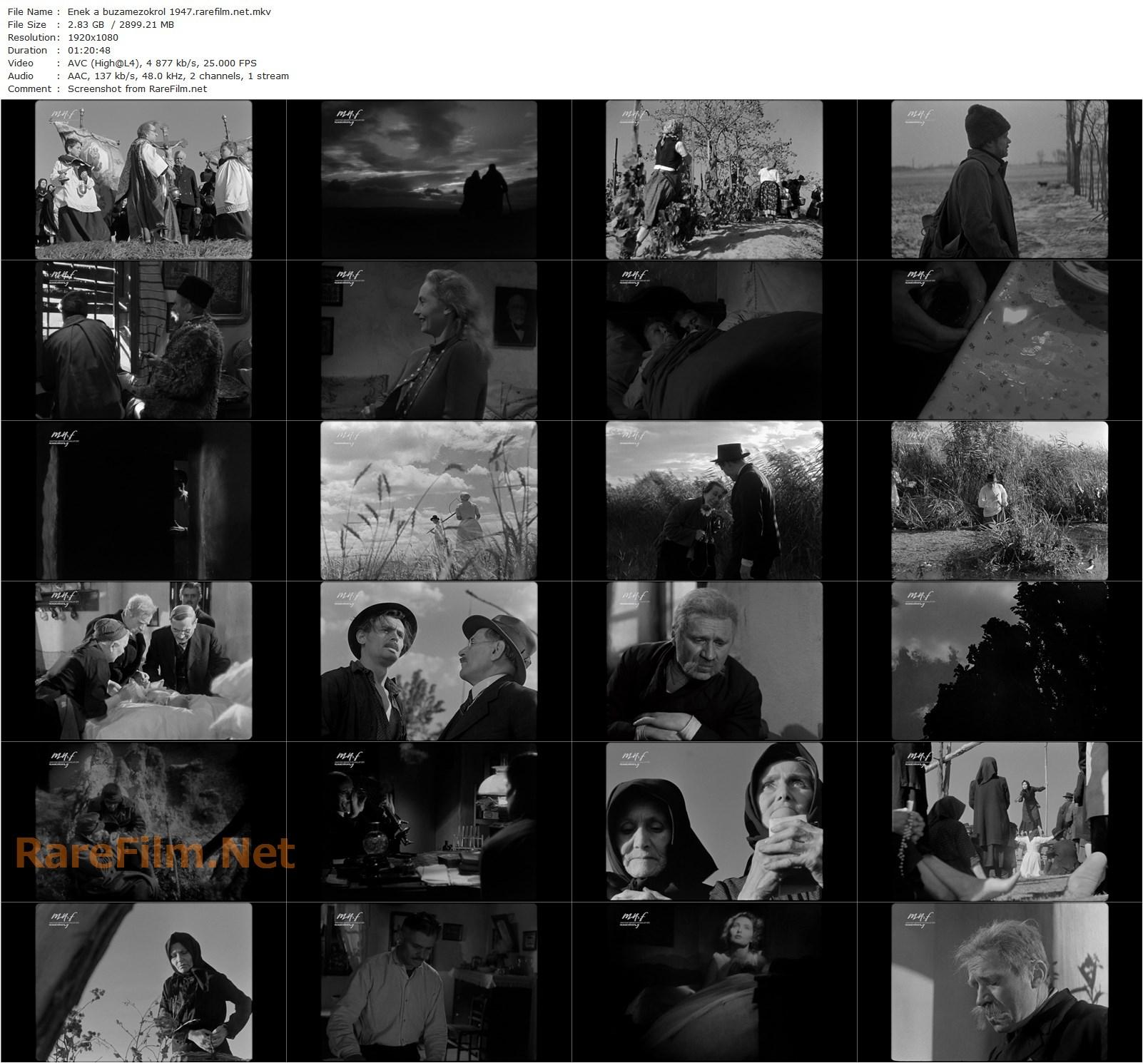 Song of the Cornfields / Ének a búzamezökröl (1947) István Szöts, Alice Szellay, János Görbe, József Bihari-poster