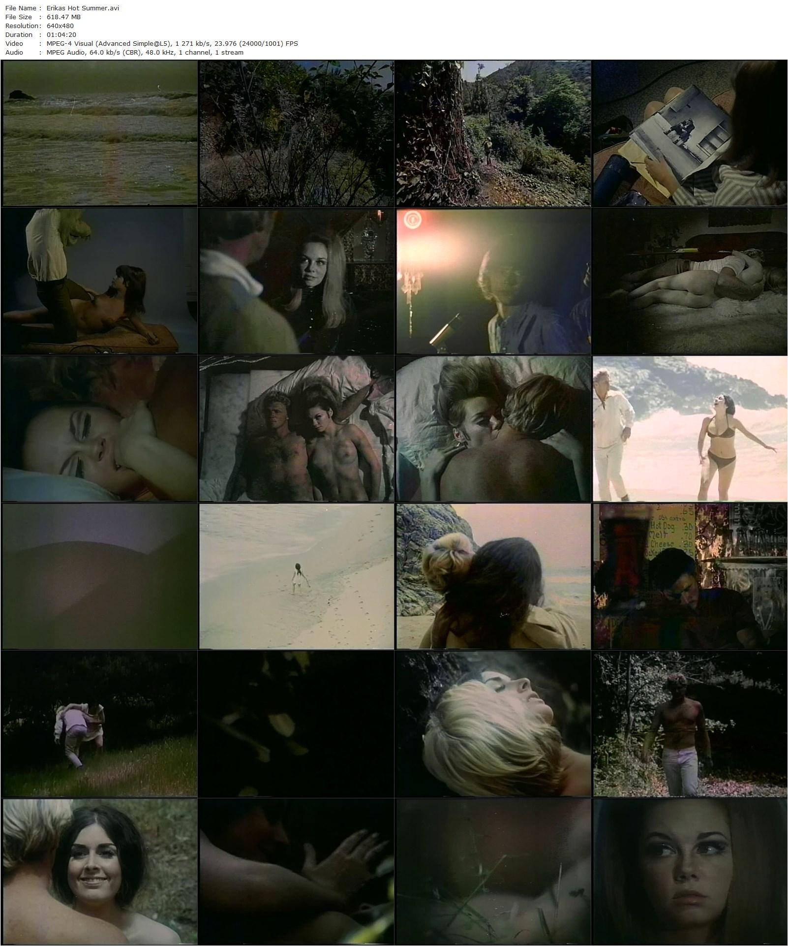 Erika’s Hot Summer (1971) Gary Graver, Erica Gavin, Walt Phillips, Merci Montello-poster