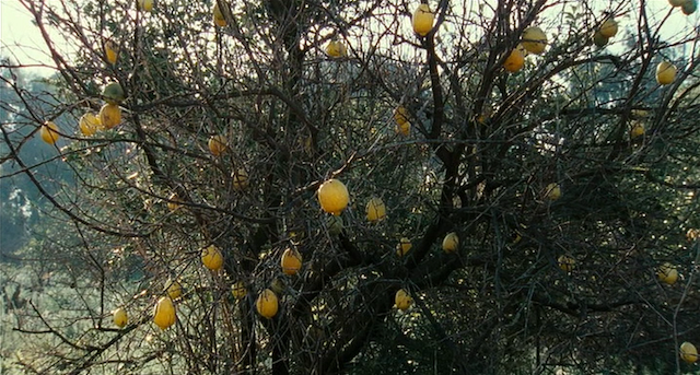 Etz Limon (2008)-poster