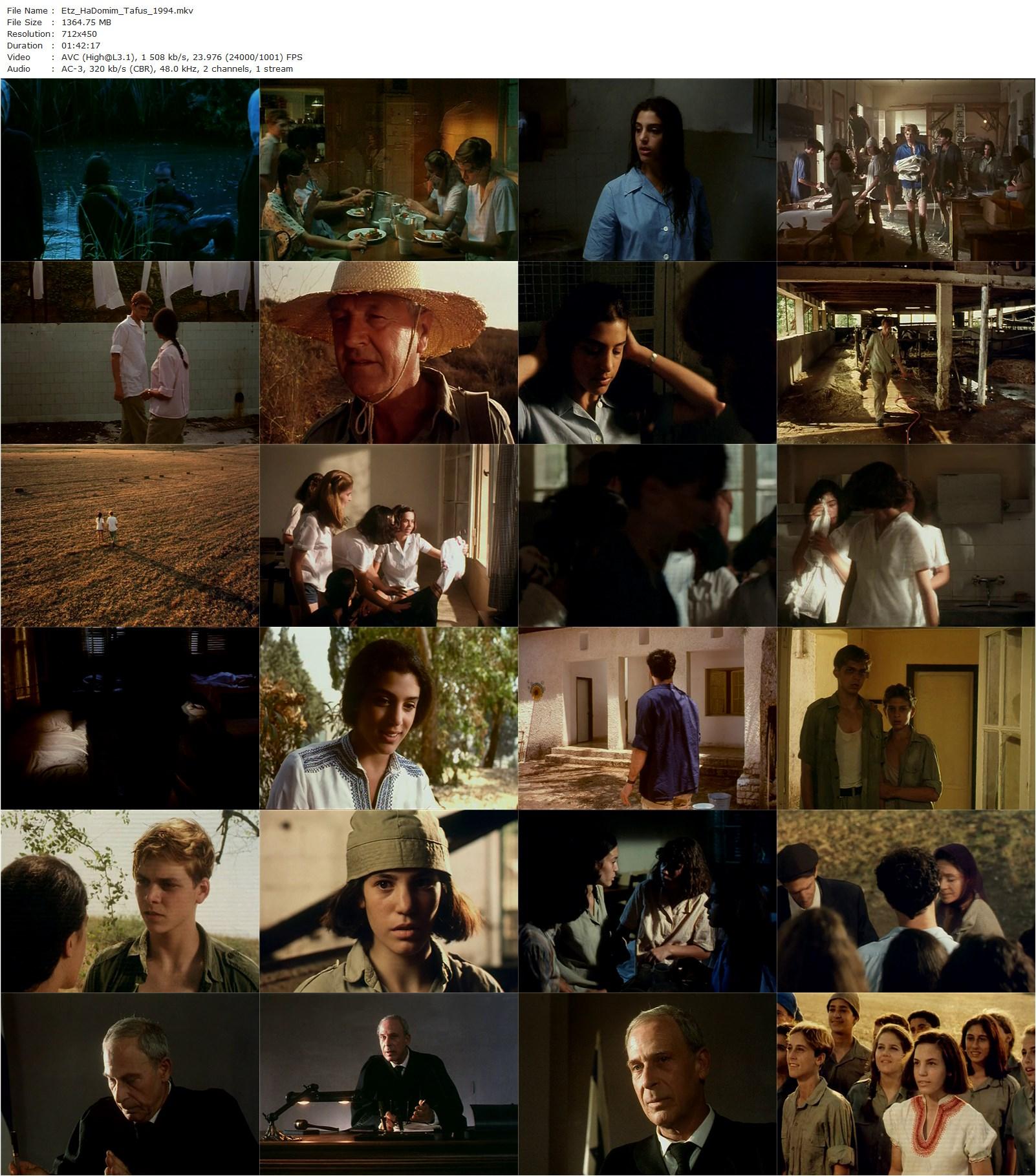 Under the Domim Tree AKA Etz Hadomim Tafus (1994) Eli Cohen, Gila Almagor, Juliano Mer-Khamis, Uri Avrahami-poster