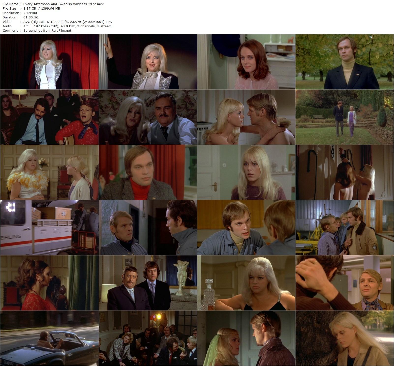 Every Afternoon (1974) Joseph W. Sarno, Diana Dors, Cia Löwgren, Peder Kinberg-poster