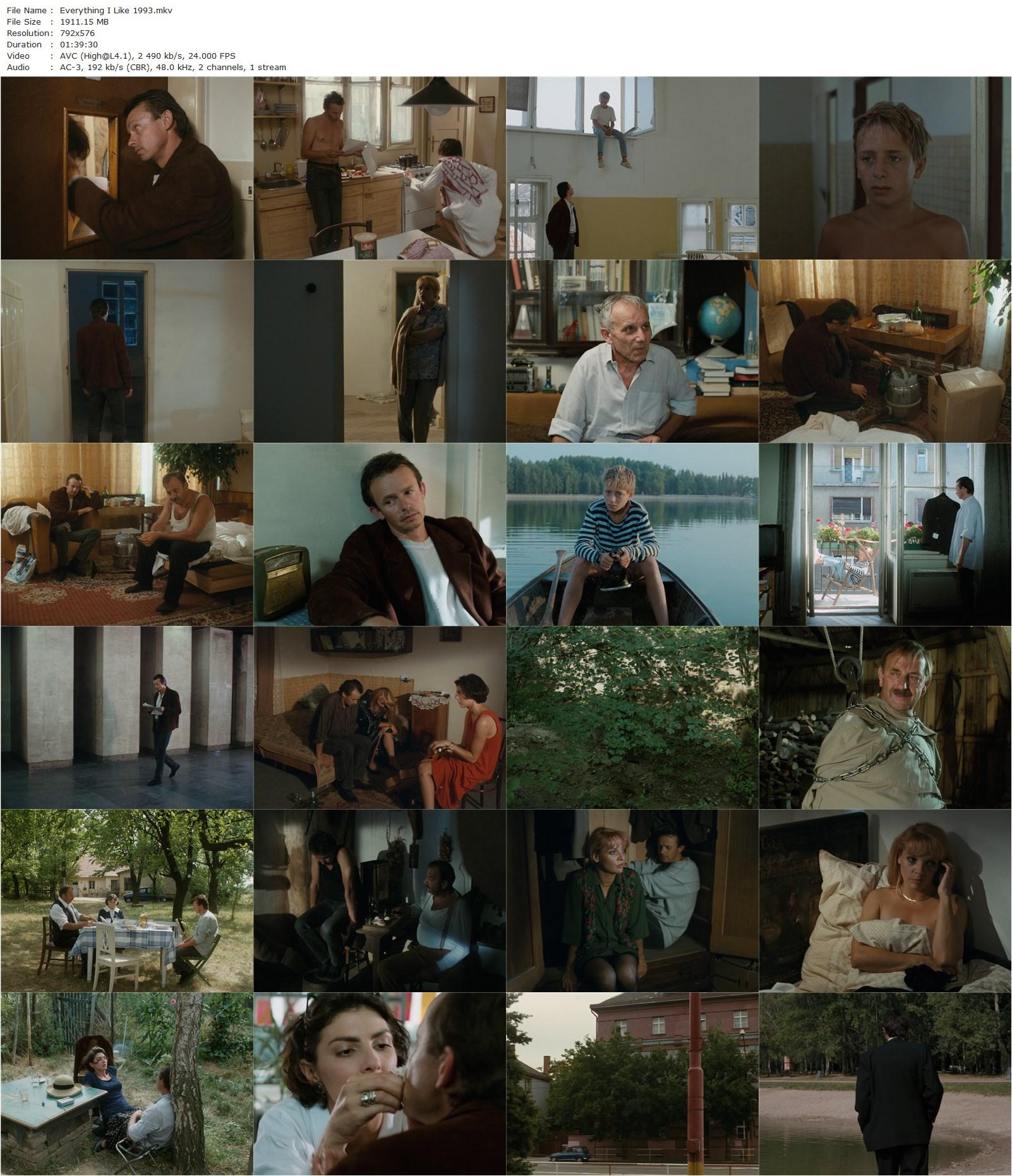 Everything I Like (1993) Martin Sulík-poster