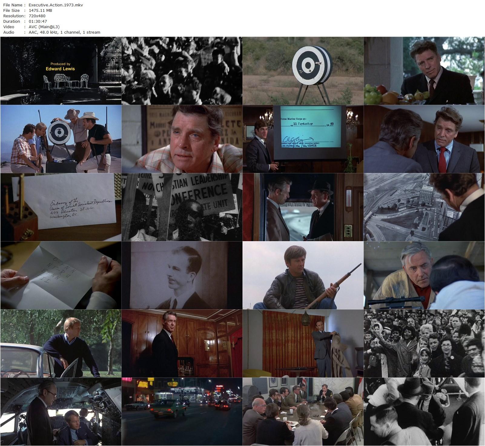 Executive Action (1973) David Miller, Burt Lancaster, Robert Ryan, Will Geer-poster