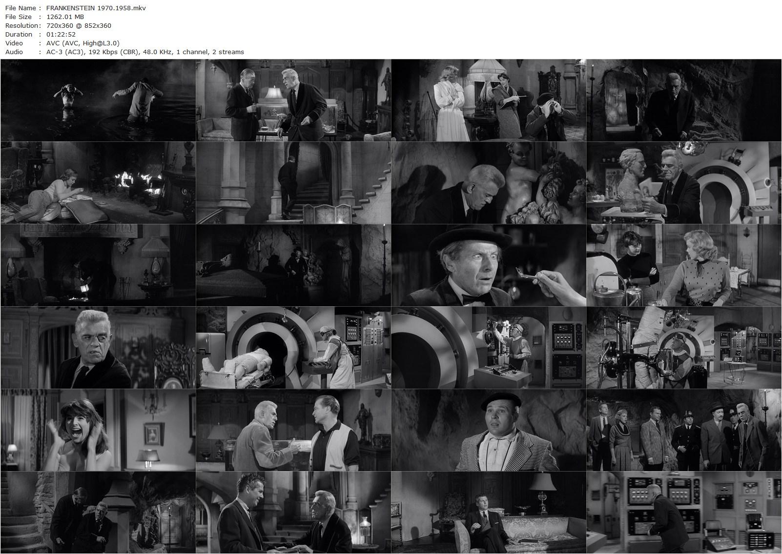 Frankenstein 1970 (1958) Howard W. Koch, Boris Karloff, Tom Duggan, Jana Lund-poster