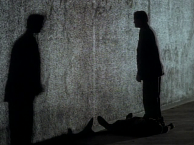 Fallen Angels- Professional Man (1995)