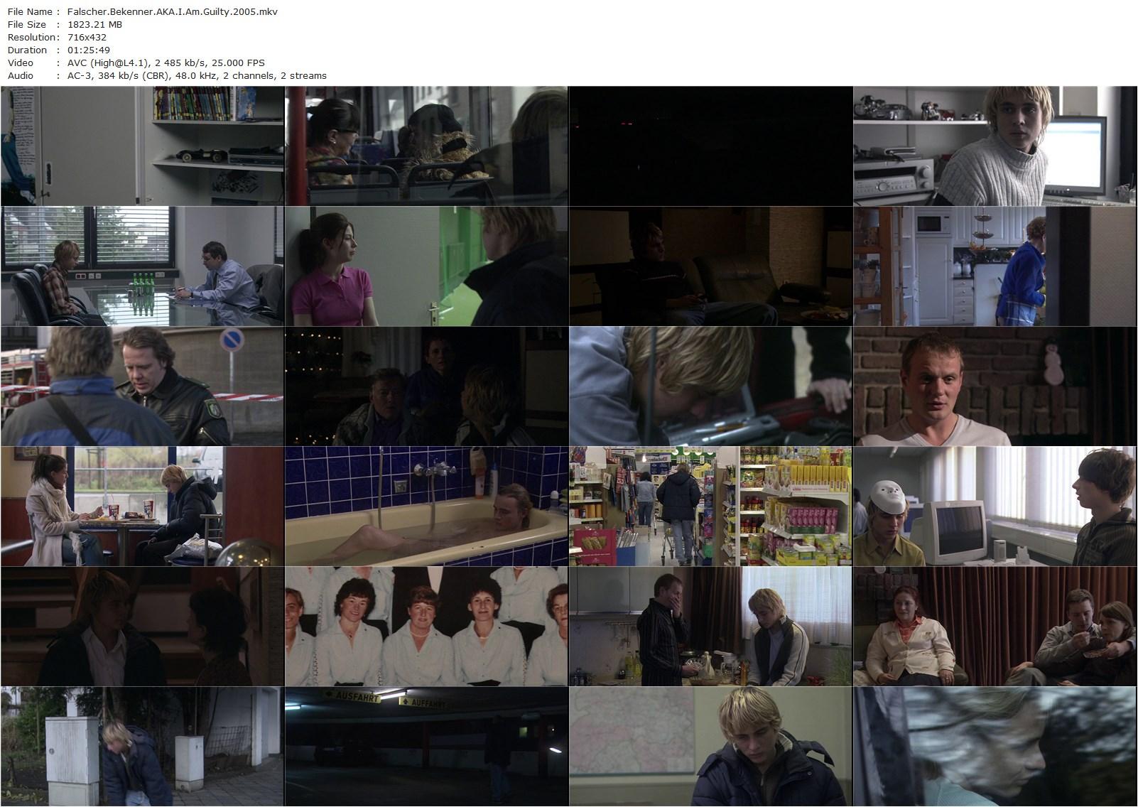 I Am Guilty AKA Falscher Bekenner (2005) Christoph Hochhäusler, Constantin von Jascheroff, Manfred Zapatka, Victoria Trauttmansdorff-poster