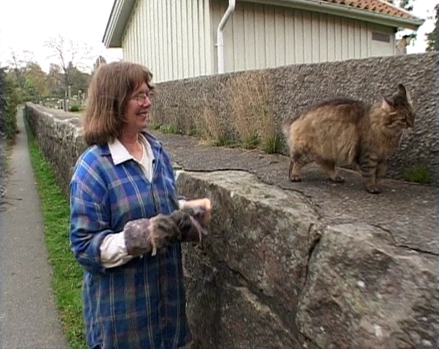 Familj igen AKA Family Again (2002) by Ruben Östlund-poster