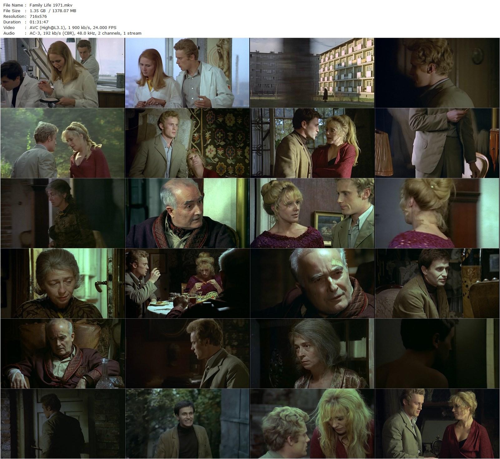 Family Life AKA Zycie rodzinne (1971) Krzysztof Zanussi, Daniel Olbrychski, Jan Kreczmar, Halina Mikolajska-poster