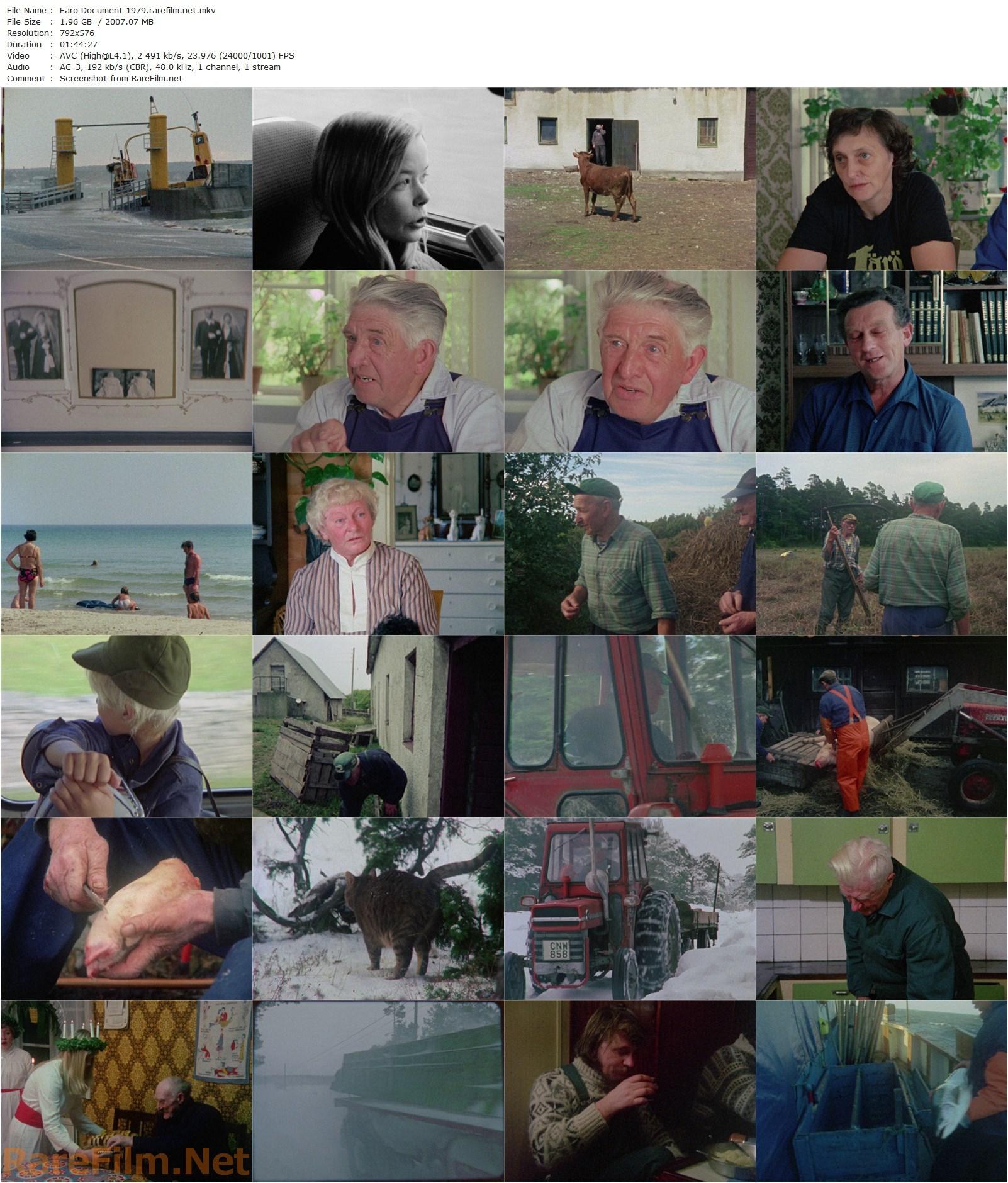 Faro Document 1979 / Fårö-dokument 1979 (1979) Ingmar Bergman, Annelie Nyström-poster