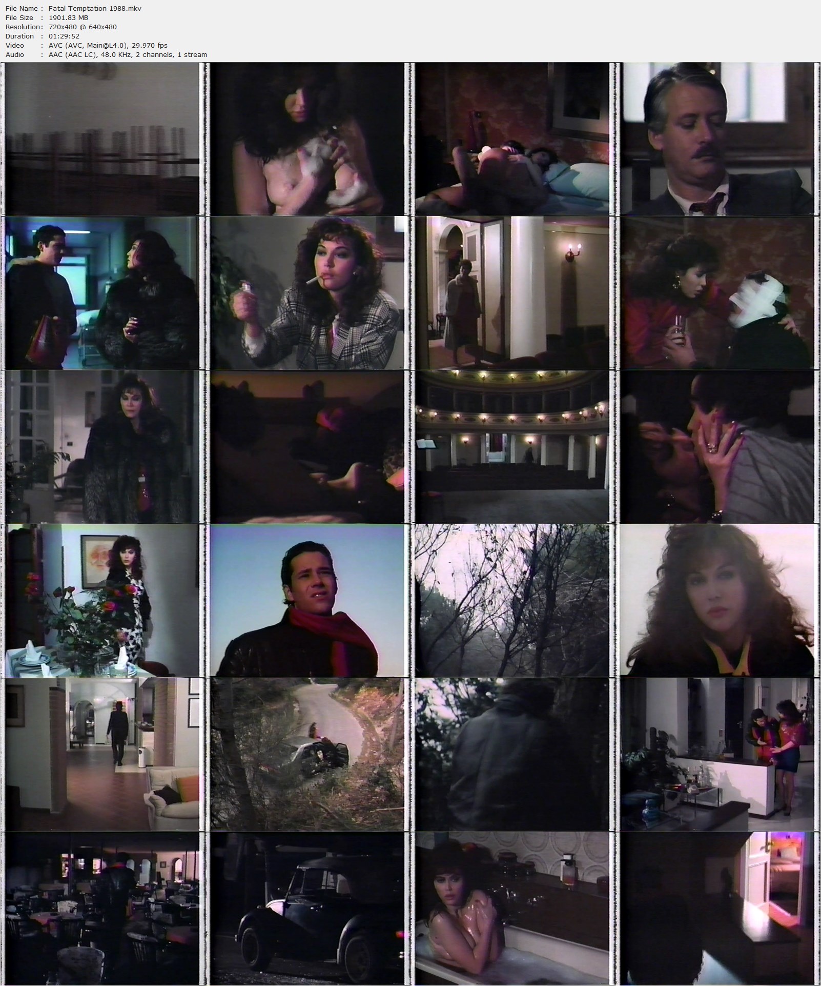 Fatal Temptation (1988) Beppe Cino, Loredana Romito, John Armstead, Ann Margaret Hughes, Drama, Thriller-poster