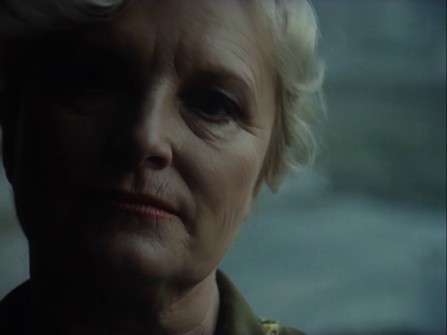 Vera Chytilová - Faunovo velmi pozdní odpoledne AKA The Very Late Afternoon of a Faun (1983)-poster