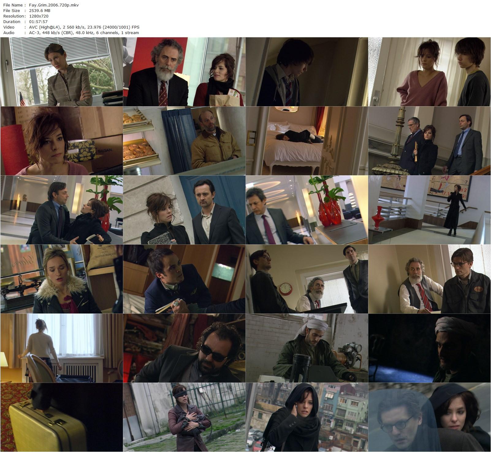 Fay Grim (2006) Hal Hartley, Parker Posey, Jeff Goldblum, Liam Aiken-poster