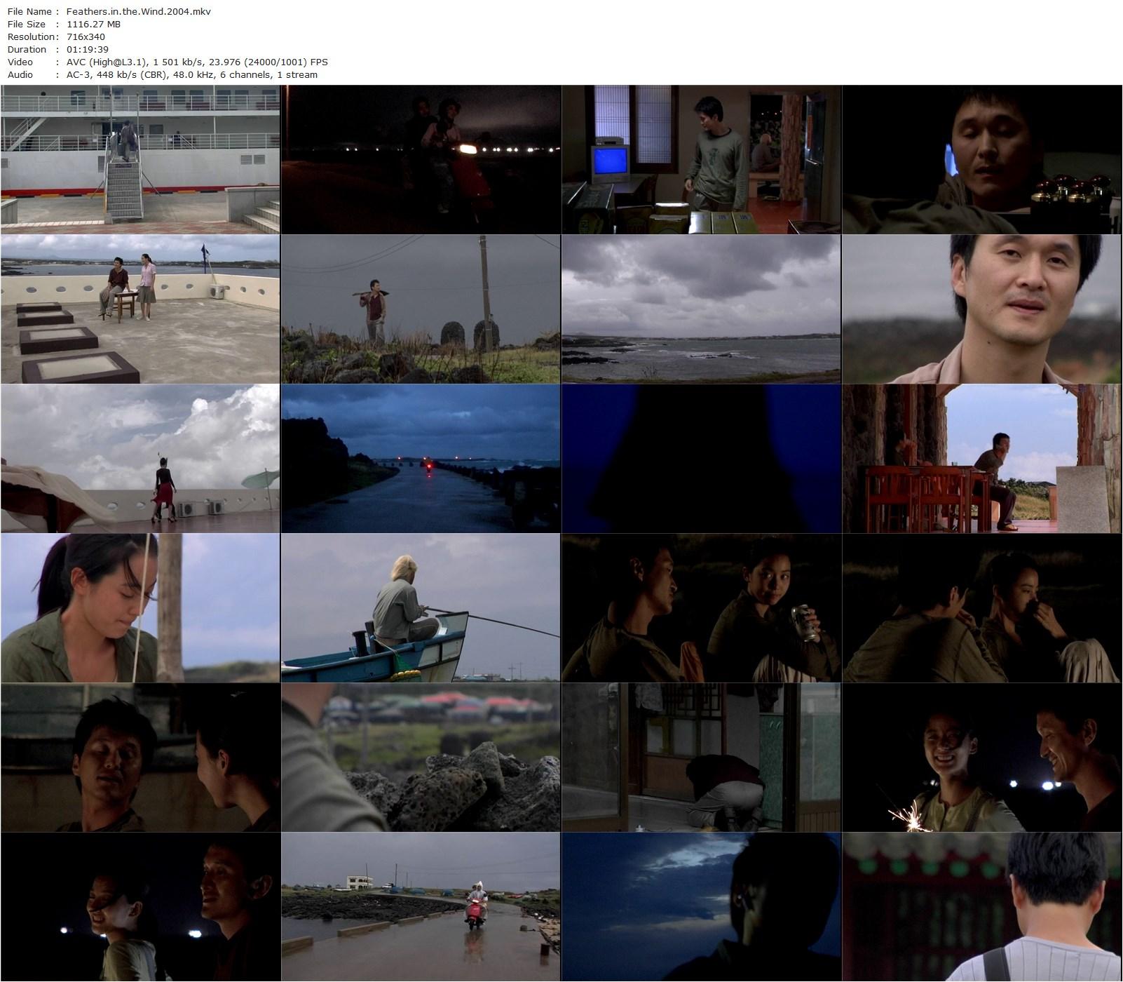 Feathers in the Wind / Git (2004) Il-gon Song, Hyeong-seong Jang, Yong-cheol Kim, So-yeon Lee-poster