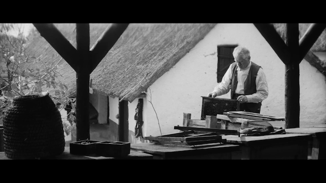 Sándor Sára - Feldobott kö AKA The Upthrown Stone (1969)-poster