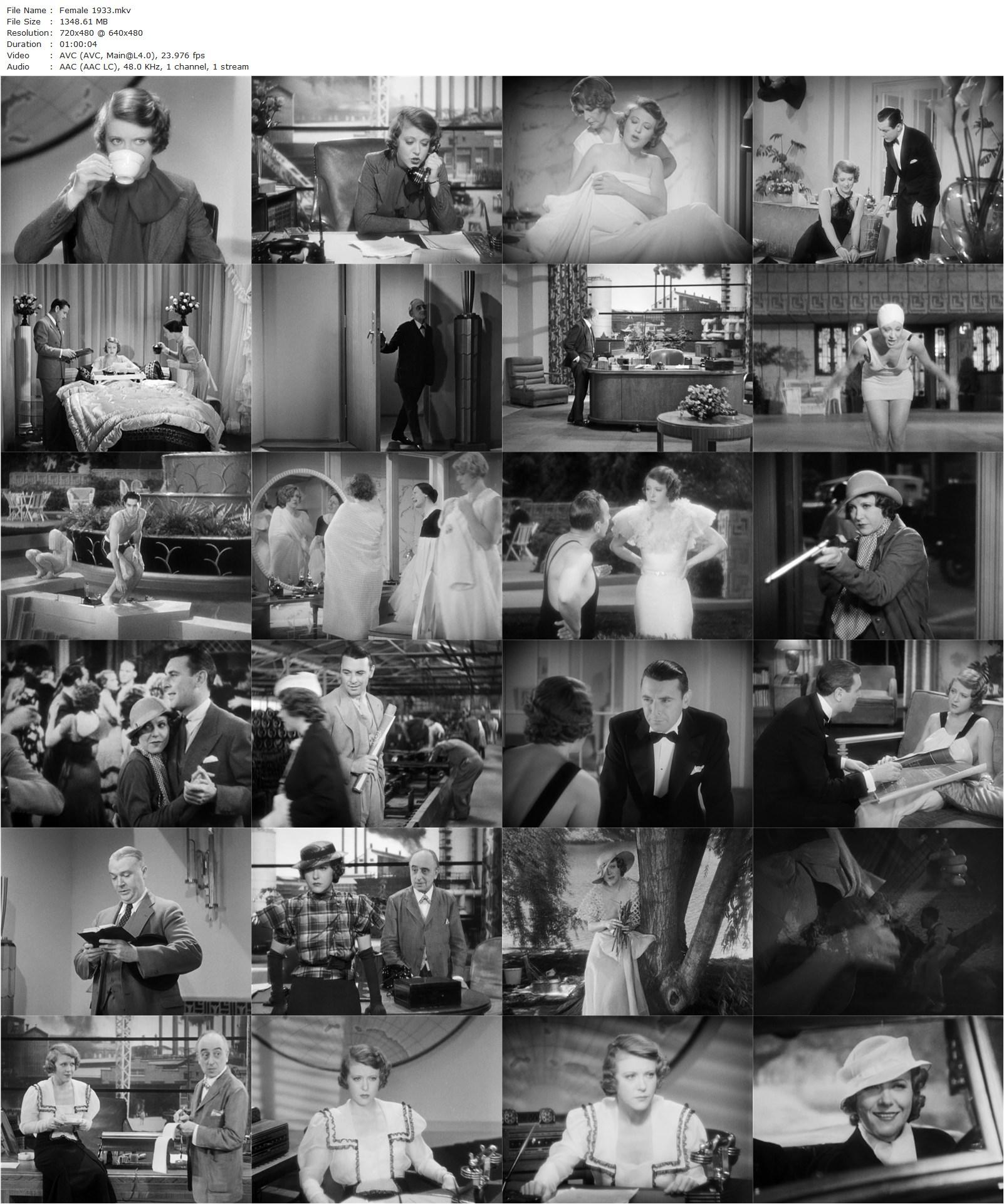 Female (1933) Michael Curtiz-poster