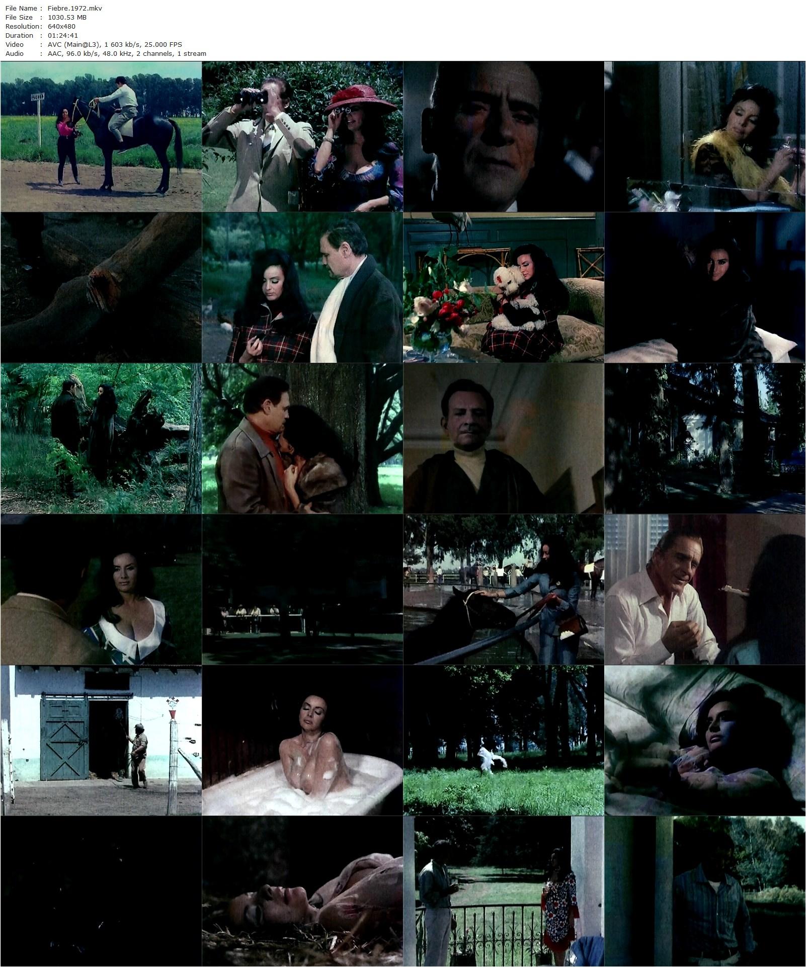 Heat AKA Fiebre (1971) Armando Bo, Isabel Sarli, Horacio Priani-poster