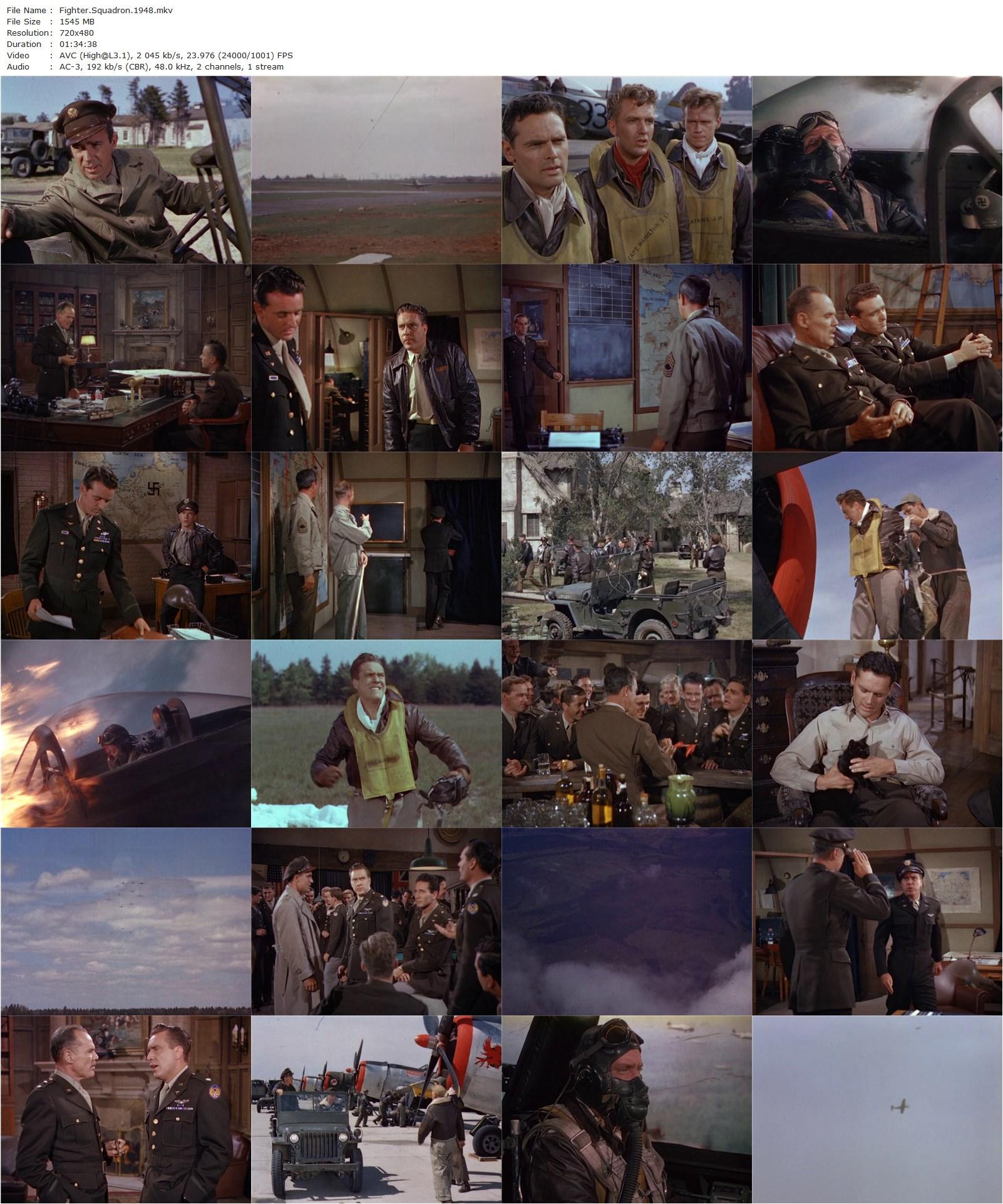 Fighter Squadron (1948) Raoul Walsh, Edmond O’Brien, Robert Stack, John Rodney-poster