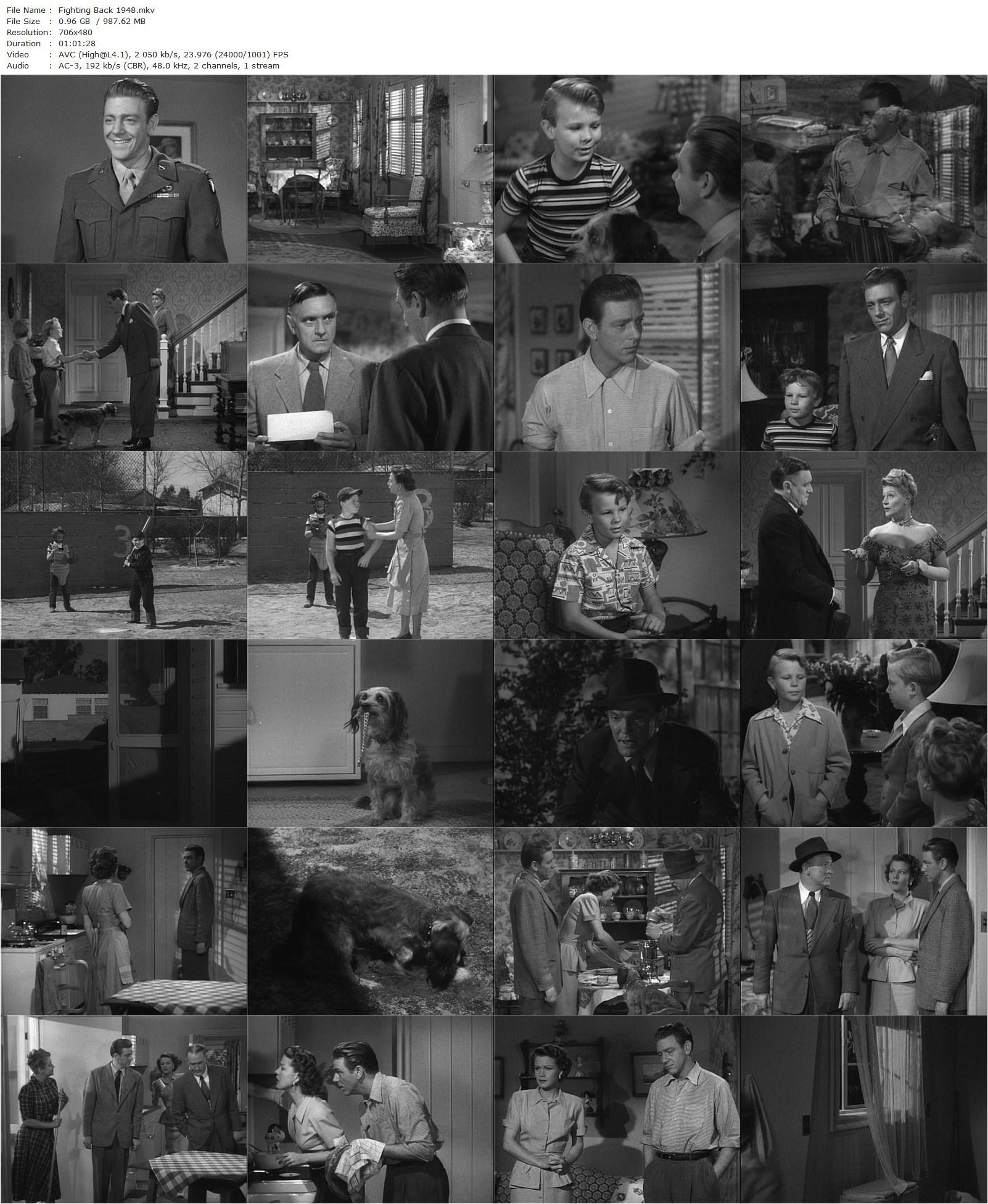 Fighting Back (1948) Malcolm St. Clair, Paul Langton, Jean Rogers, Gary Gray-poster