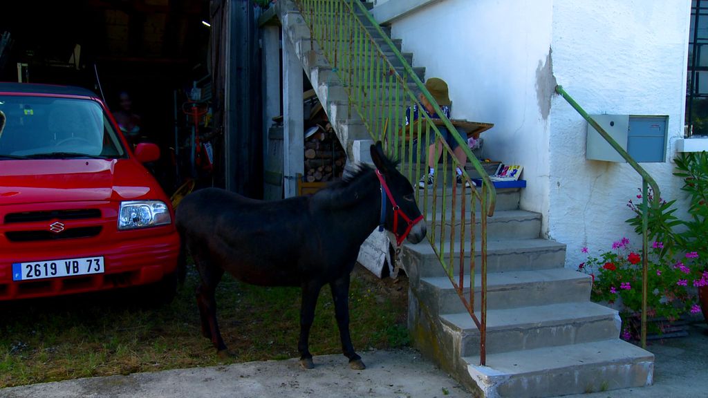 Film Socialism AKA Film socialisme (2010) Jean-Luc Godard, Jean-Marc Stehlé, Agatha Couture, Mathias Domahidy-poster