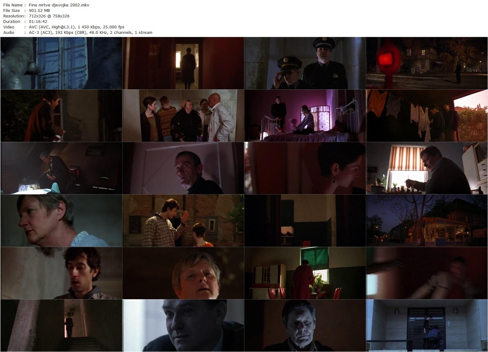 Fine Dead Girls (2002) Dalibor Matanic, Olga Pakalovic, Nina Violic, Kresimir Mikic-poster