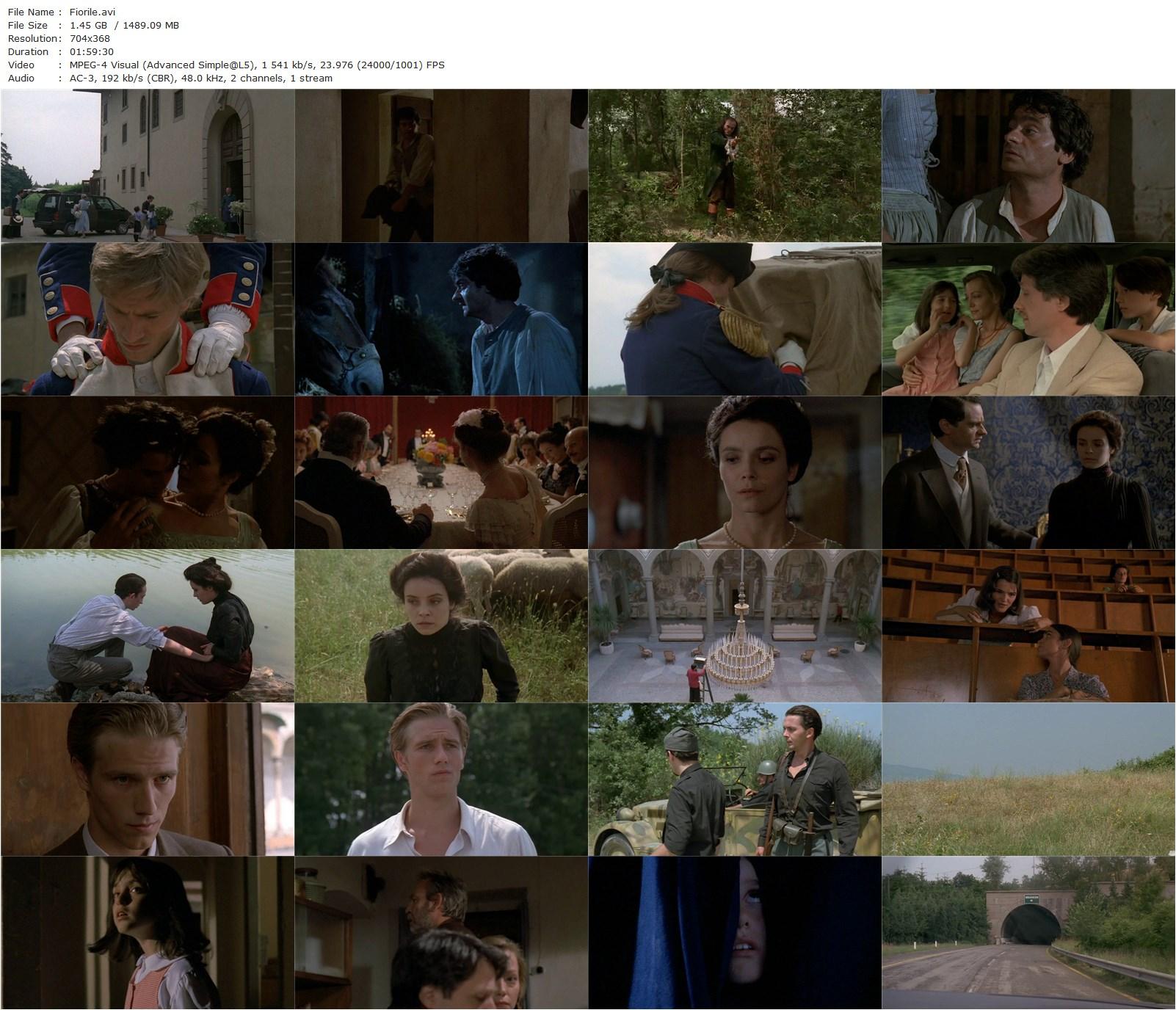 Wild Flower AKA Fiorile (1993) Paolo Taviani, Vittorio Taviani, Claudio Bigagli, Galatea Ranzi, Michael Vartan-poster