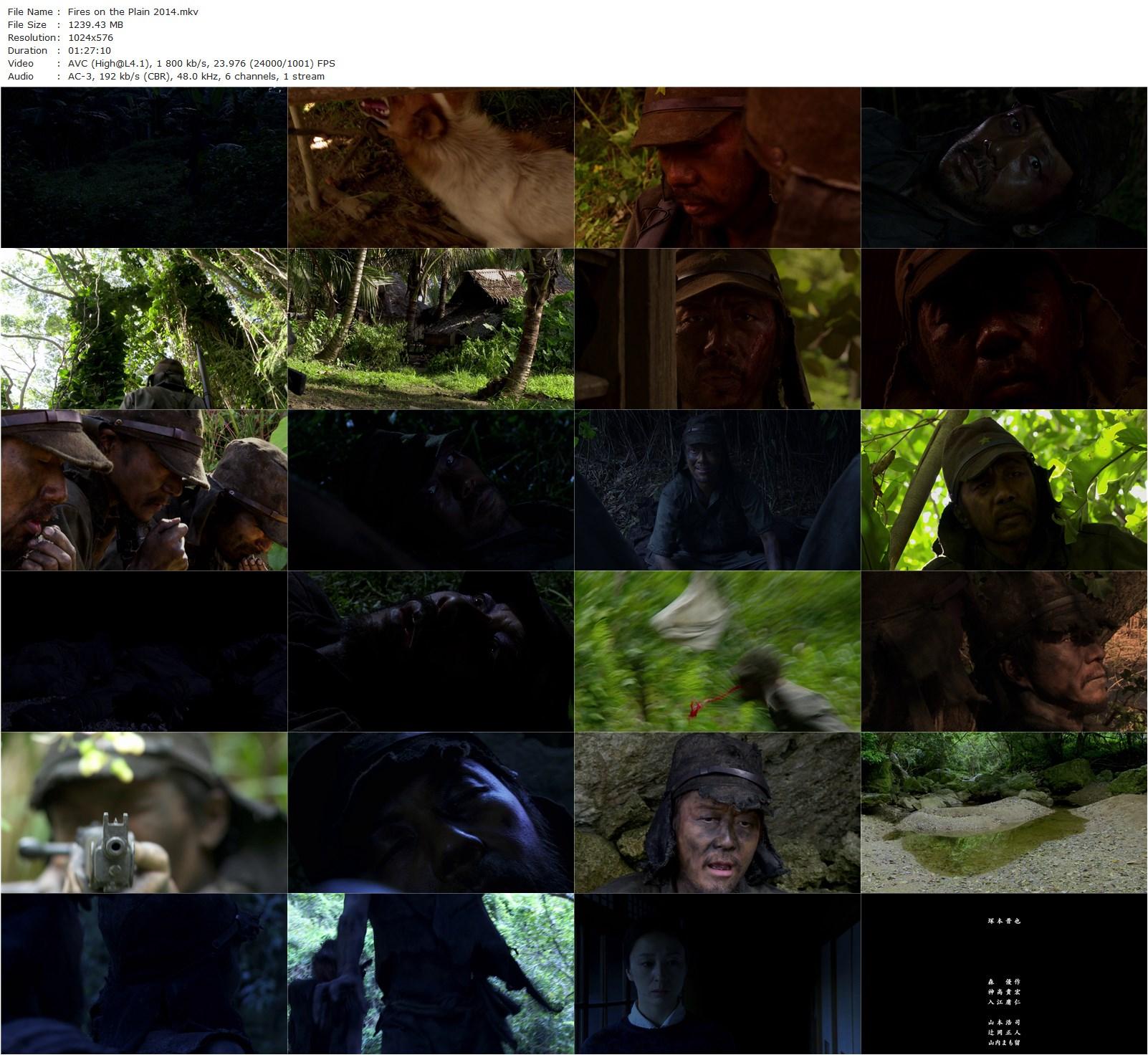 Nobi / Fires on the Plain (2014) Shin’ya Tsukamoto, Lily Franky, Tatsuya Nakamura-poster