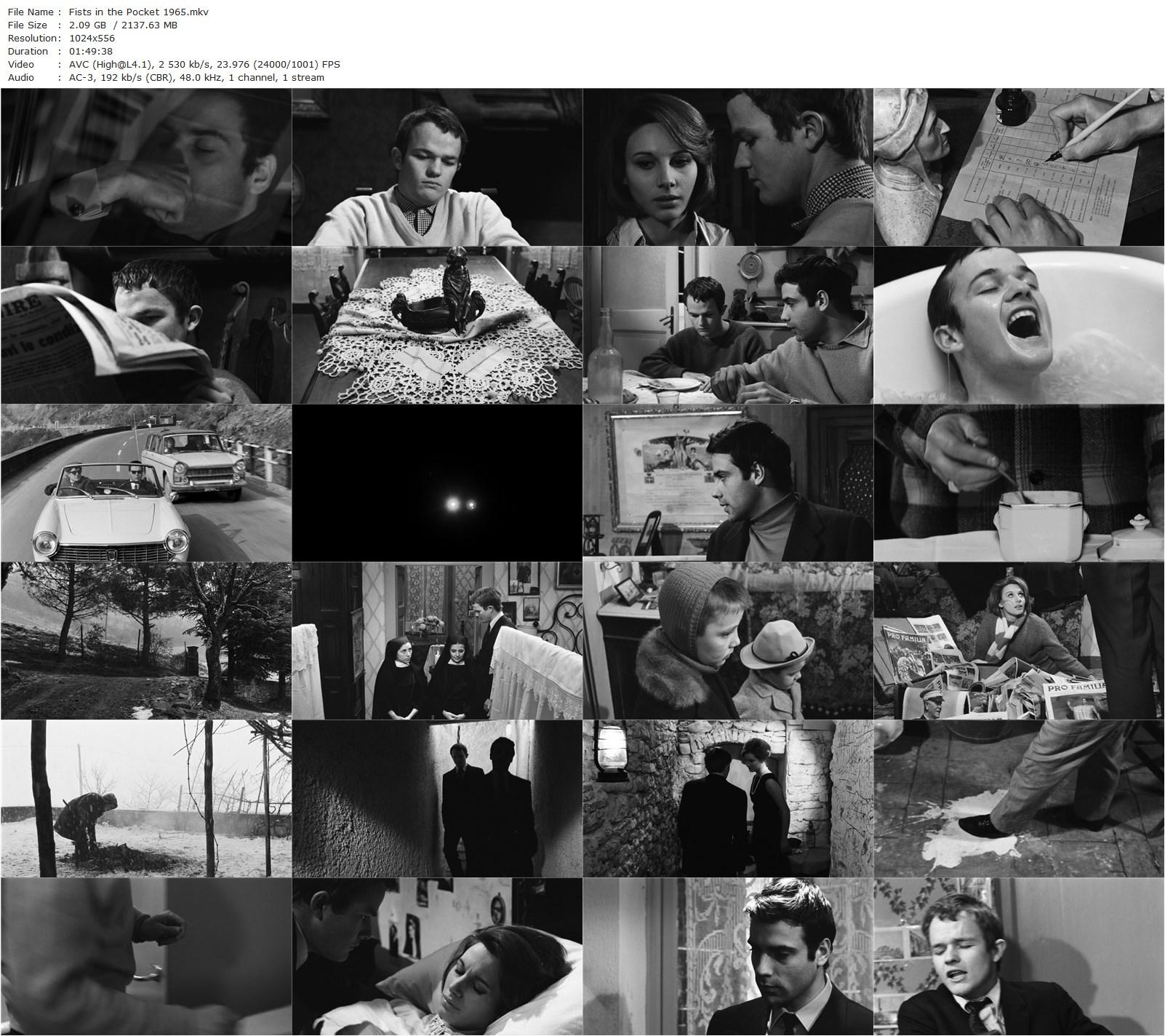 Fists in the Pocket AKA I pugni in tasca (1965) Marco Bellocchio, Lou Castel, Paola Pitagora, Marino Masé-poster