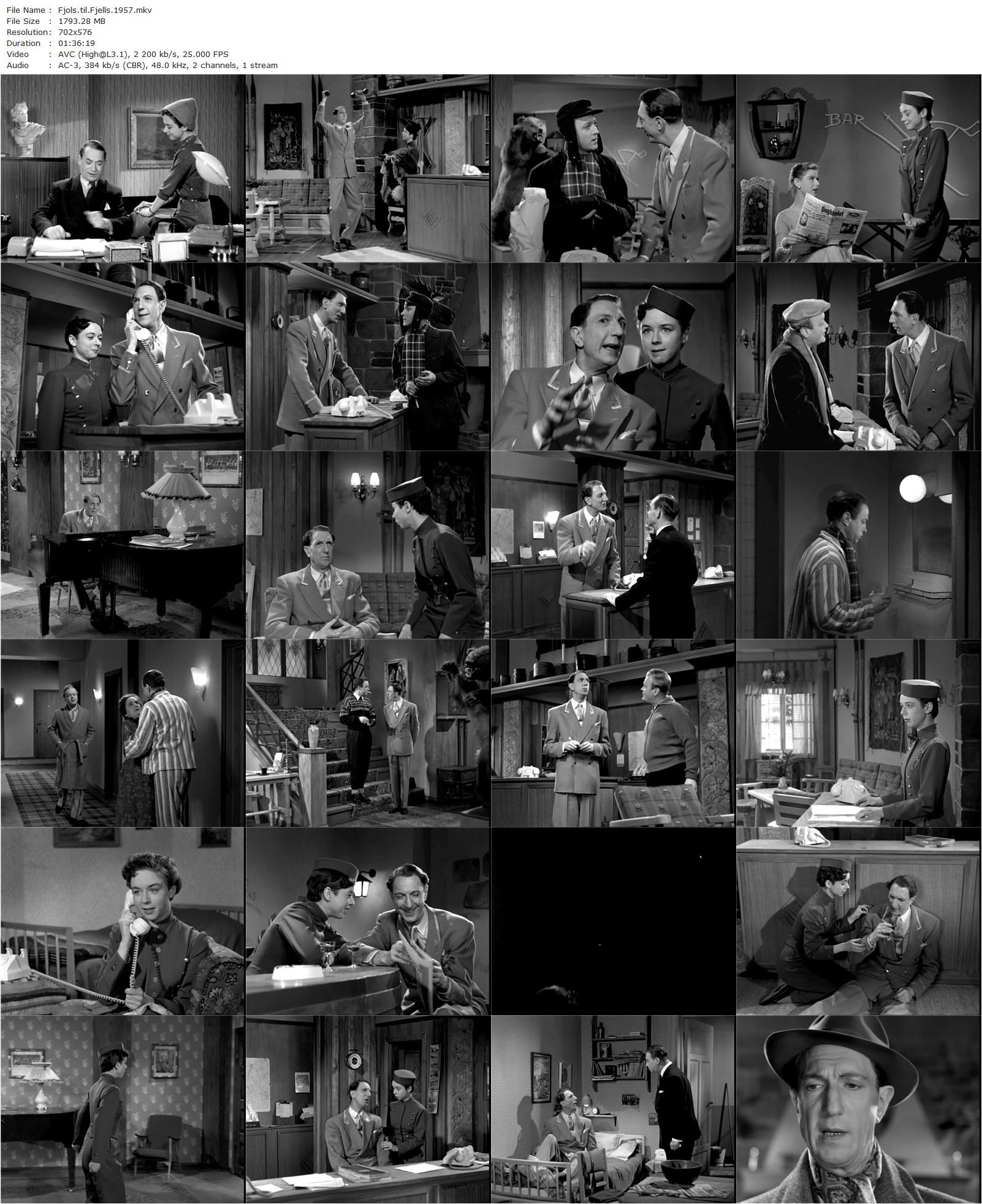 Fools in the Mountains (1957) Edith Carlmar-poster