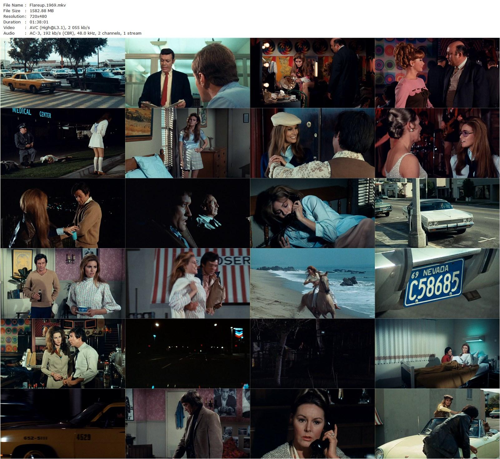 Flareup (1969) James Neilson, Raquel Welch, James Stacy, Luke Askew-poster