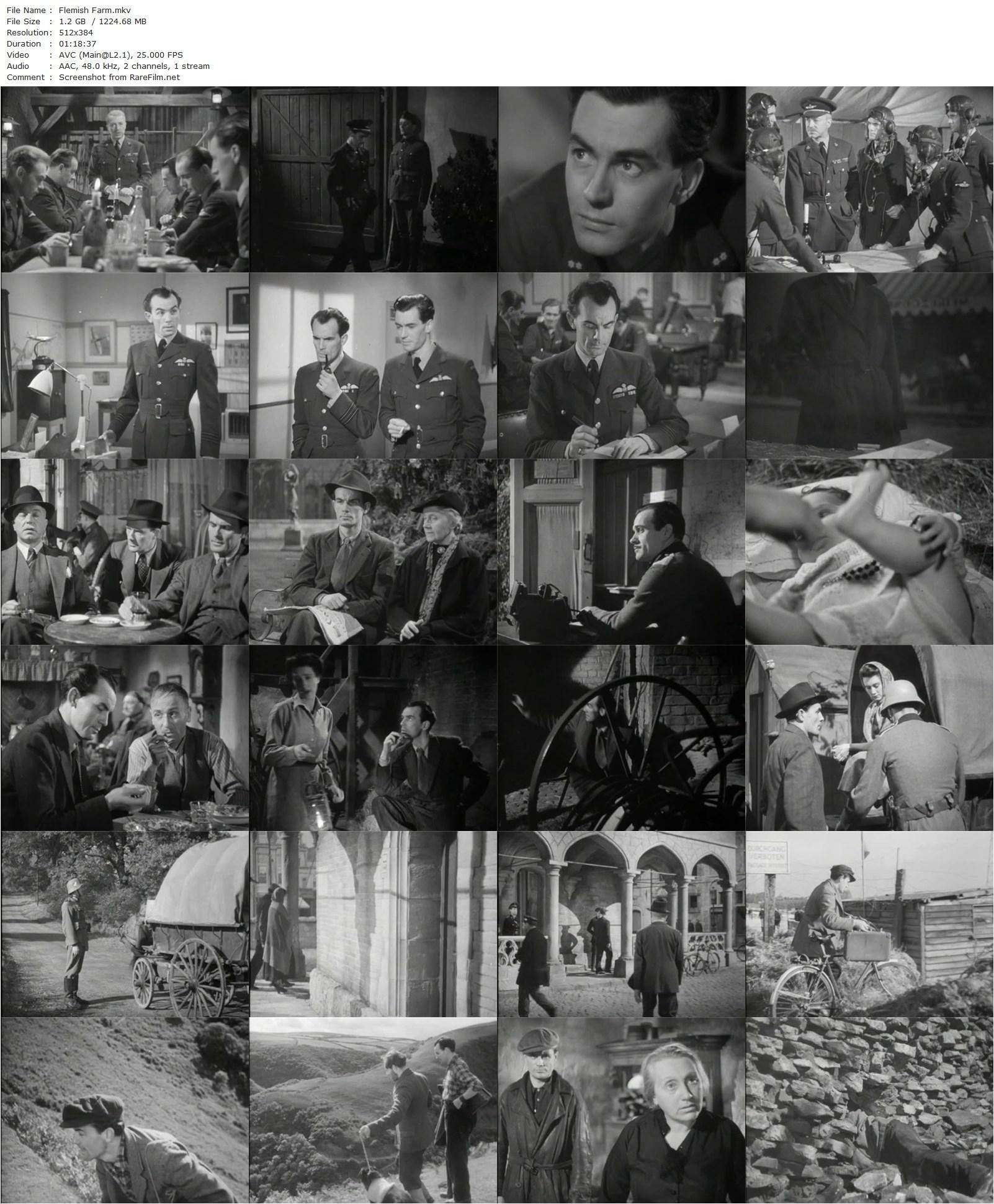 The Flemish Farm (1943) Jeffrey Dell, Clive Brook, Clifford Evans, Jane Baxter-poster