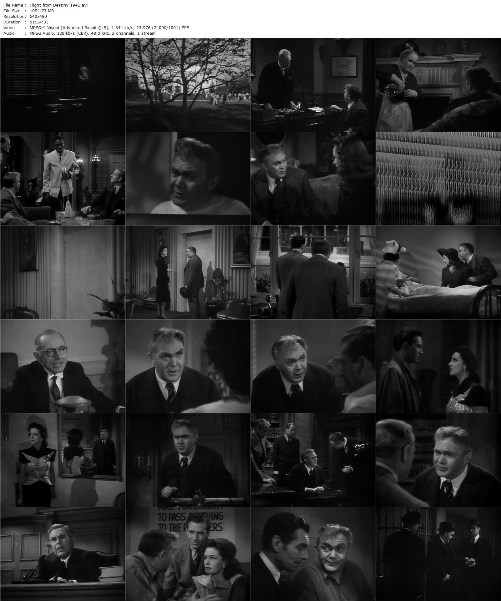 Flight from Destiny (1941) Vincent Sherman, Geraldine Fitzgerald, Thomas Mitchell, Jeffrey Lynn-poster