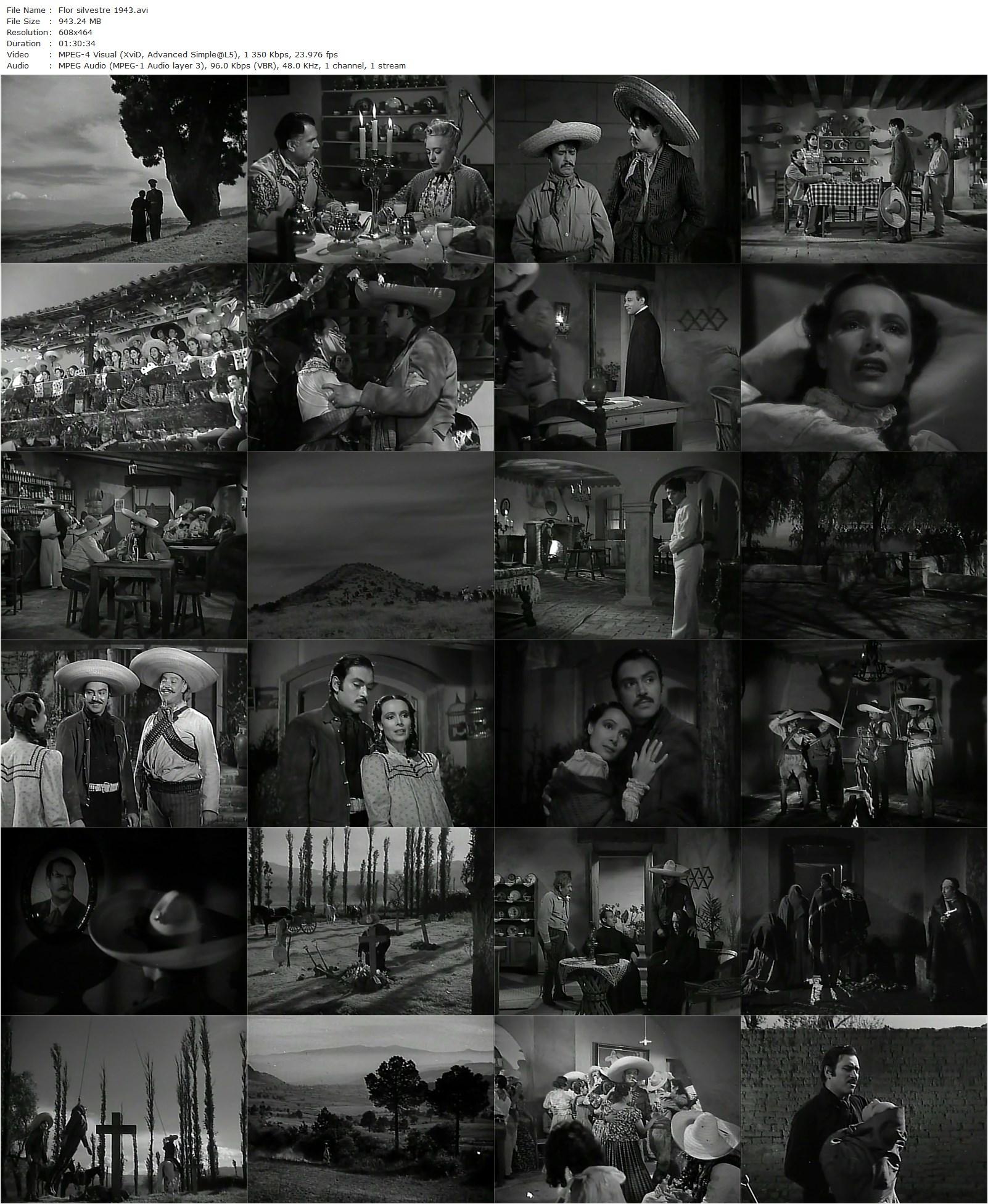 Wild Flower / Flor silvestre (1943) Emilio Fernández, Dolores del Rio, Pedro Armendáriz-poster