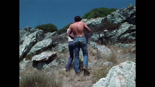 Arthur J. Bressan Jr. - Forbidden Letters (1979)-poster