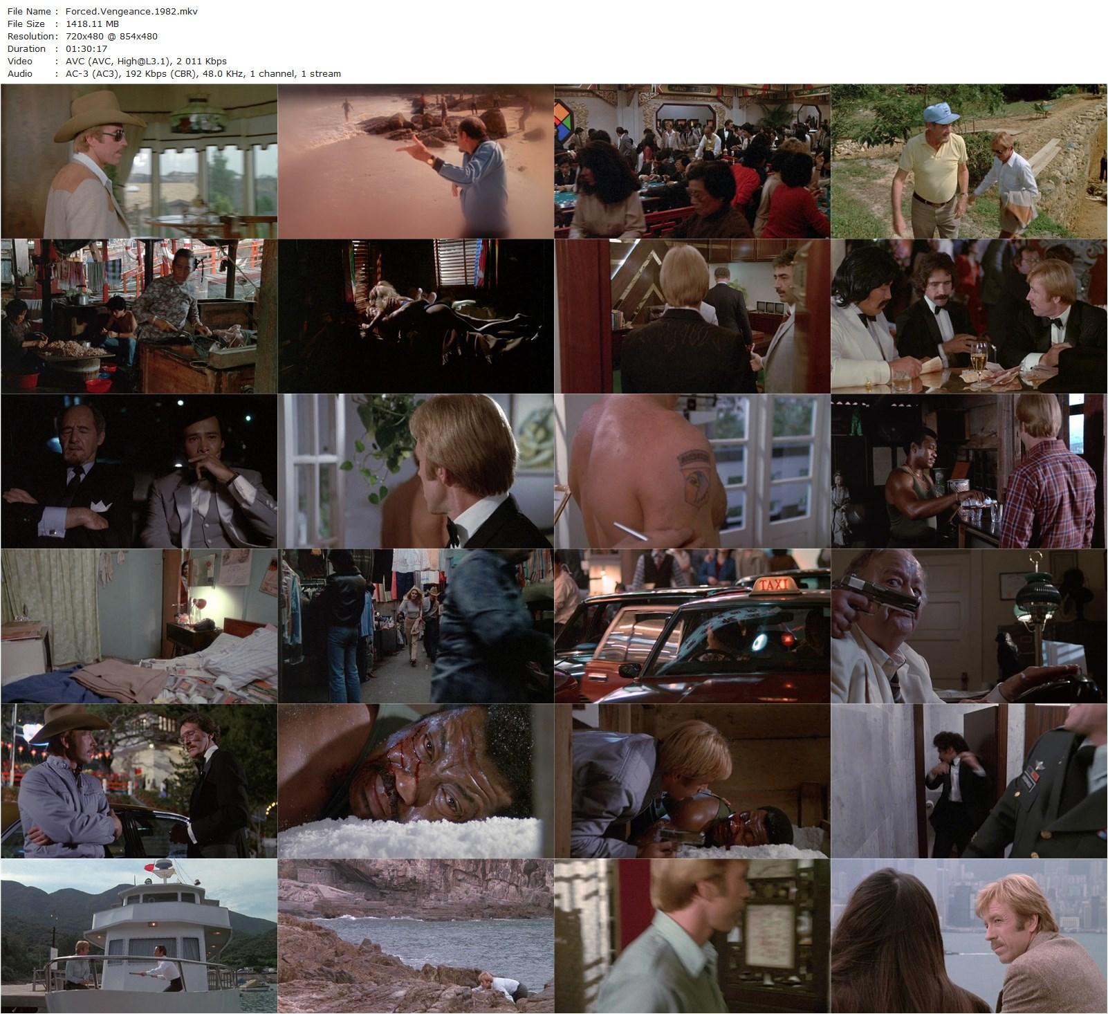 Forced Vengeance (1982) James Fargo, Chuck Norris, Mary Louise Weller, Camila Griggs-poster