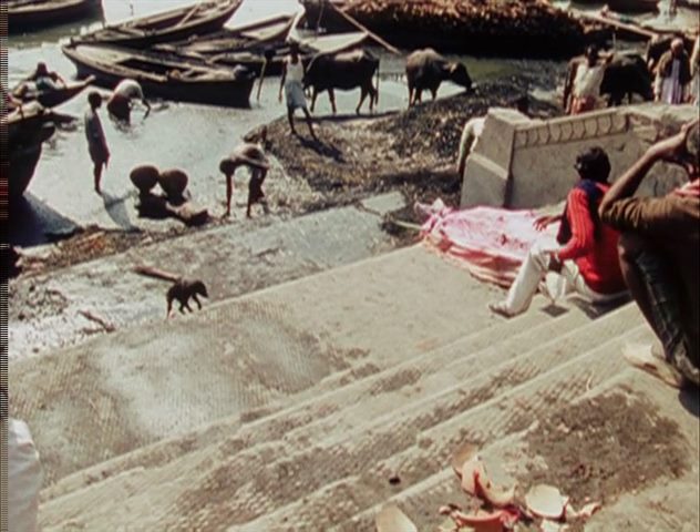 Forest of Bliss (1986) Robert Gardner, Documentary-poster