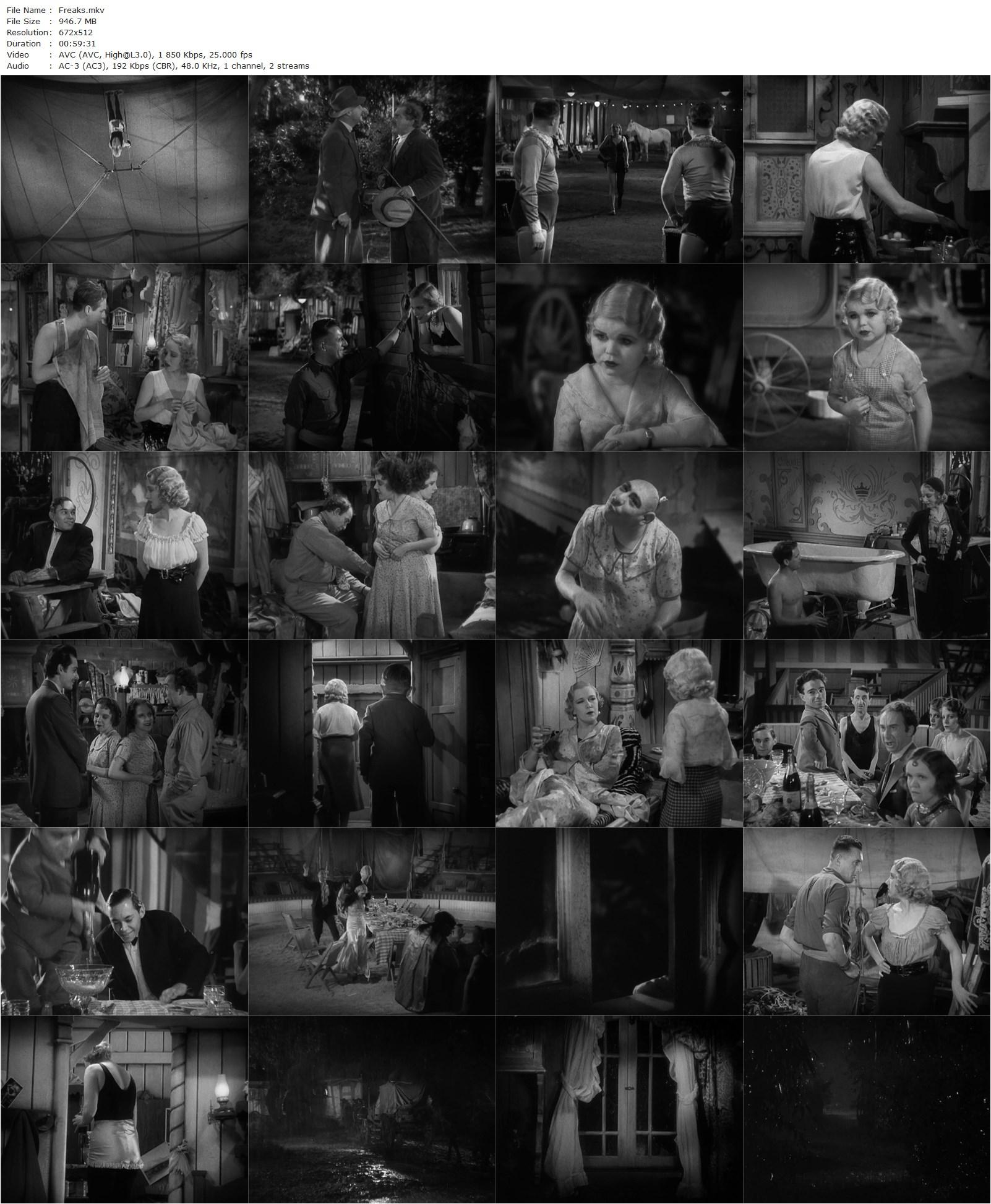 Freaks (1932) Tod Browning, Wallace Ford, Leila Hyams, Olga Baclanova-poster