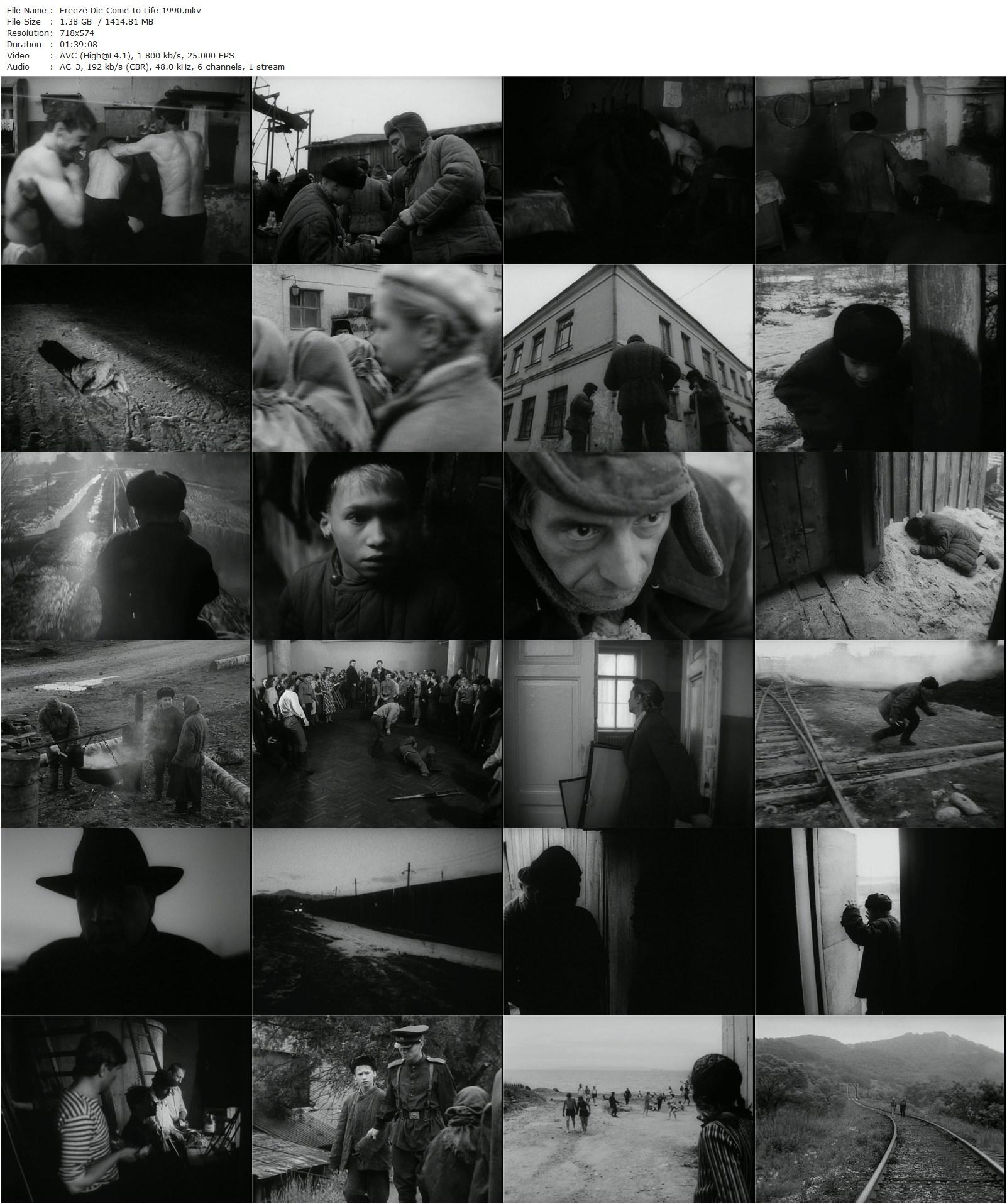 Freeze Die Come to Life AKA Zamri, umri, voskresni! (1990) Vitali Kanevsky, Dinara Drukarova, Pavel Nazarov, Elena Popova-poster