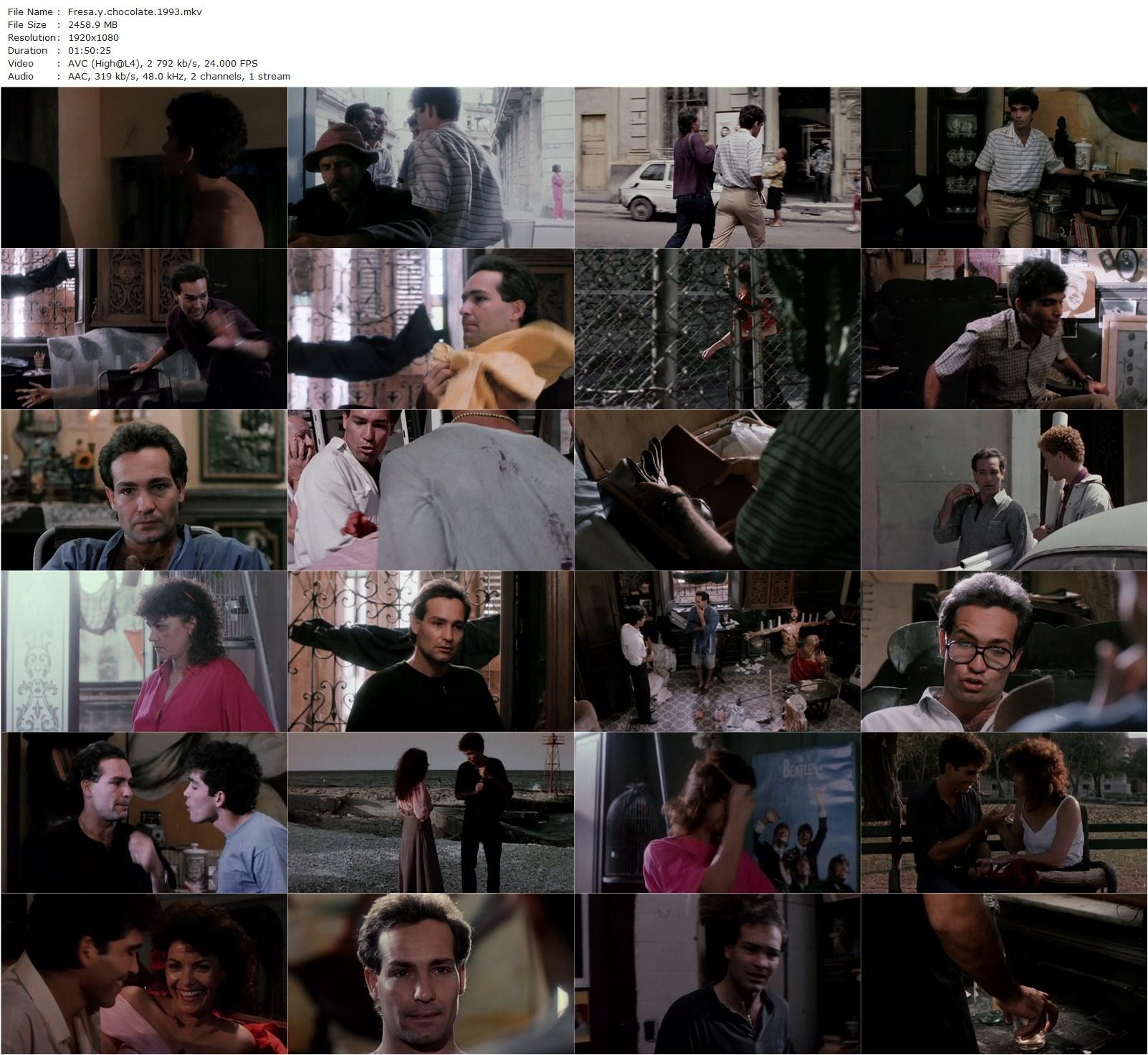 Strawberry and Chocolate AKA Fresa y chocolate (1993) Tomás Gutiérrez Alea, Juan Carlos Tabío, Jorge Perugorría, Vladimir Cruz, Mirta Ibarra-poster