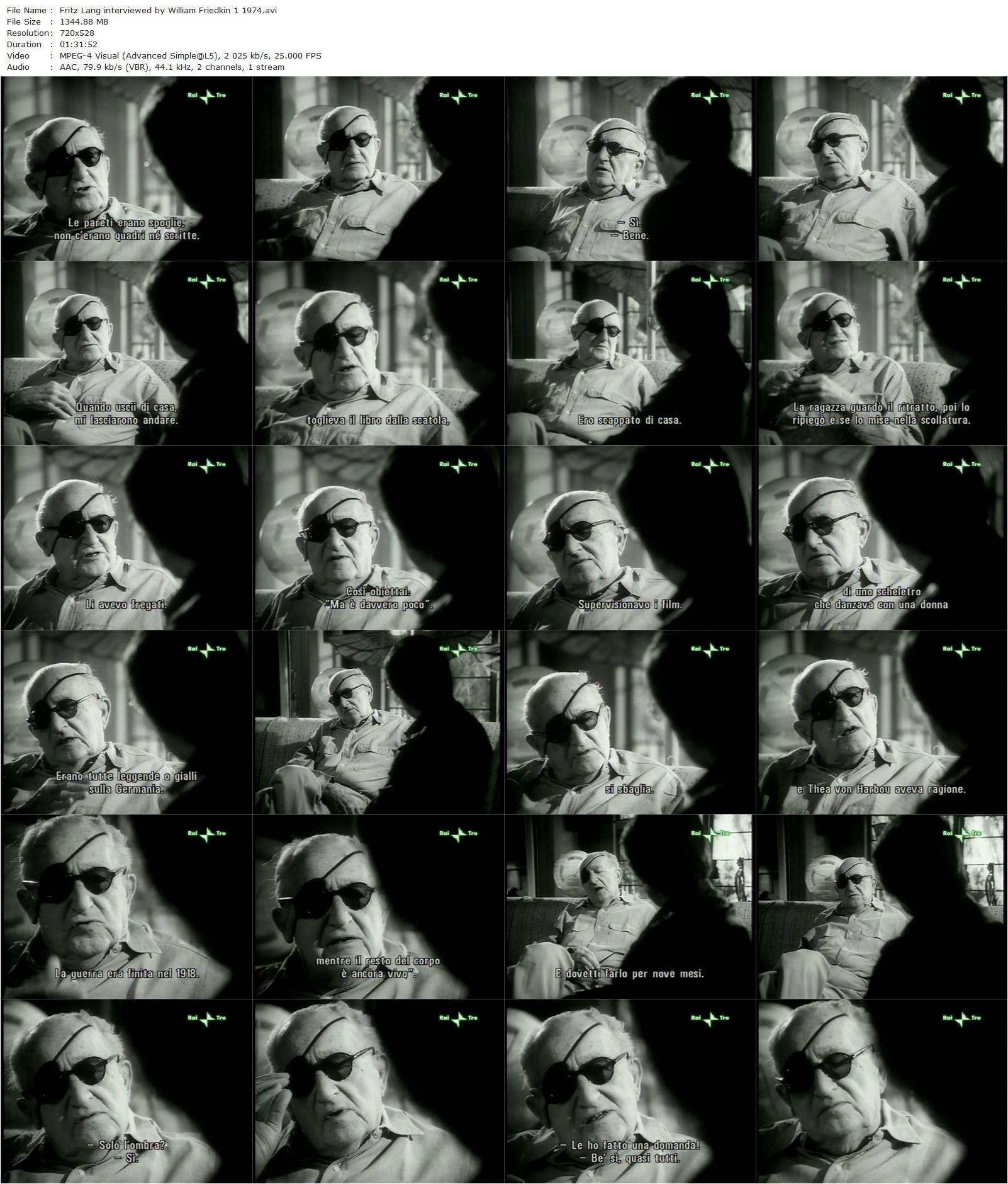 Conversation with Fritz Lang (1975) William Friedkin, Fritz Lang-poster