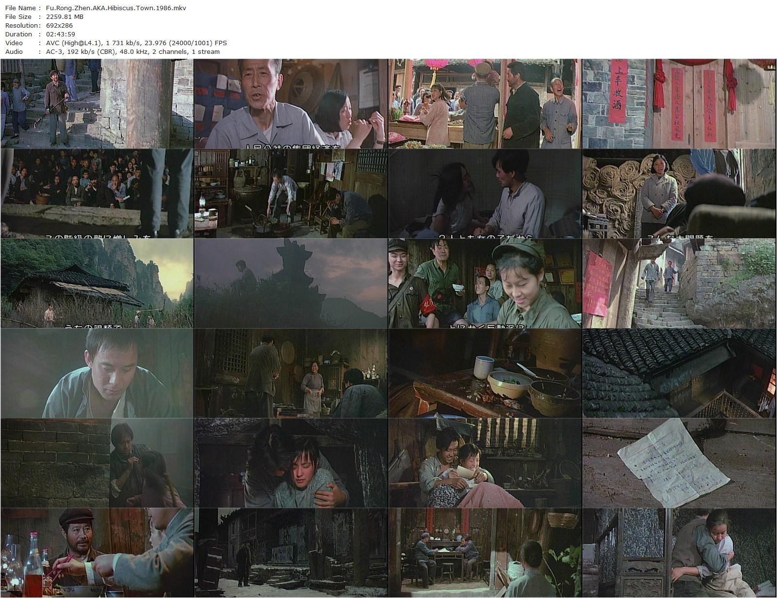 Hibiscus Town AKA Fu rong zhen (1986) Jin Xie, Wen Jiang, Linian Liu, Xiaoqing Liu-poster