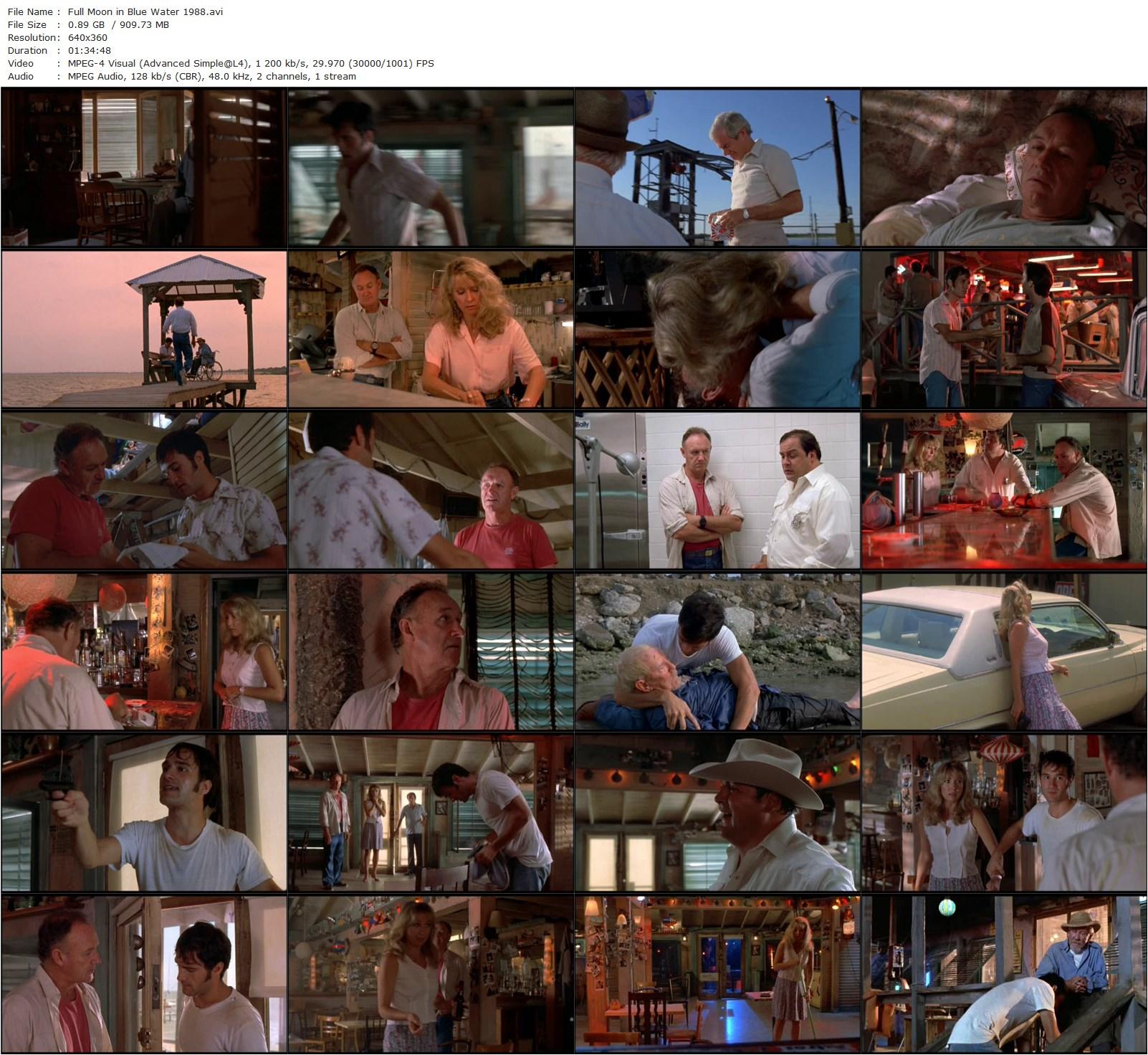 Full Moon in Blue Water (1988) Peter Masterson, Gene Hackman, Teri Garr, Burgess Meredith-poster