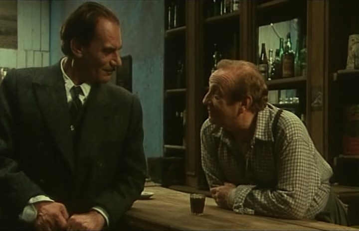 Funes a Great Love (1993) Raúl de la Torre, Graciela Borges, Gian Maria Volontè, Pepe Soriano-poster