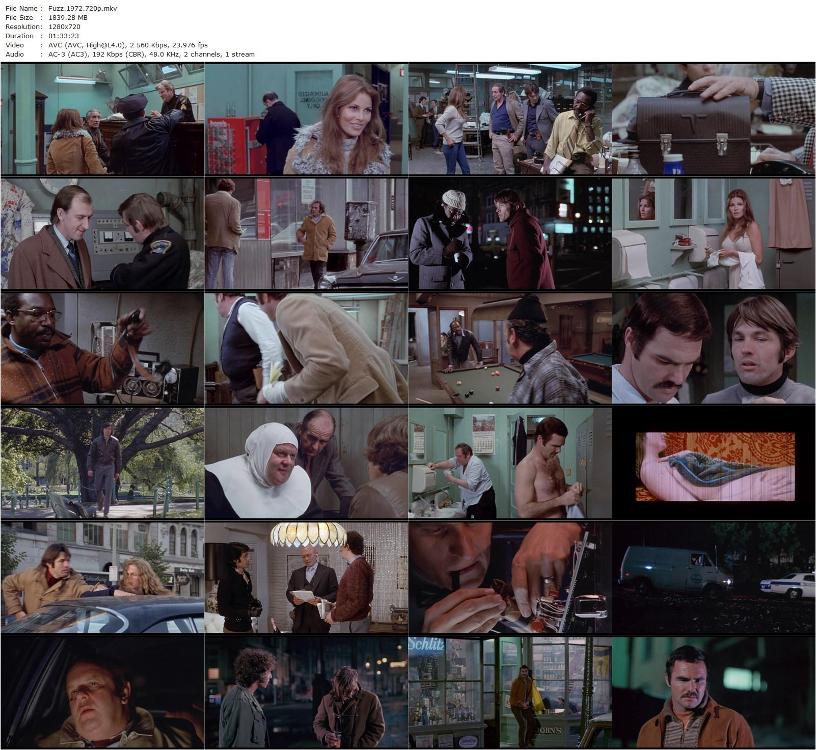 Fuzz (1972) Richard A. Colla, Burt Reynolds, Raquel Welch, Jack Weston-poster