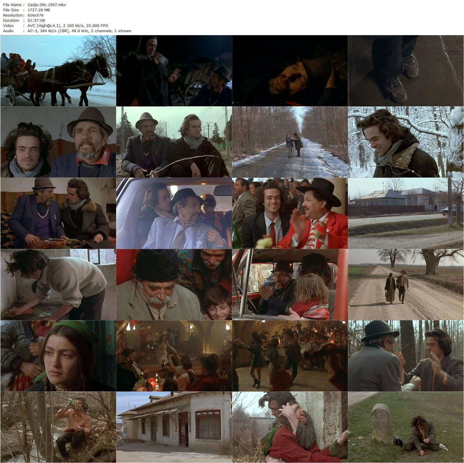 Gadjo dilo / The Crazy Stranger (1997) Tony Gatlif, Romain Duris, Rona Hartner, Izidor Serban-poster