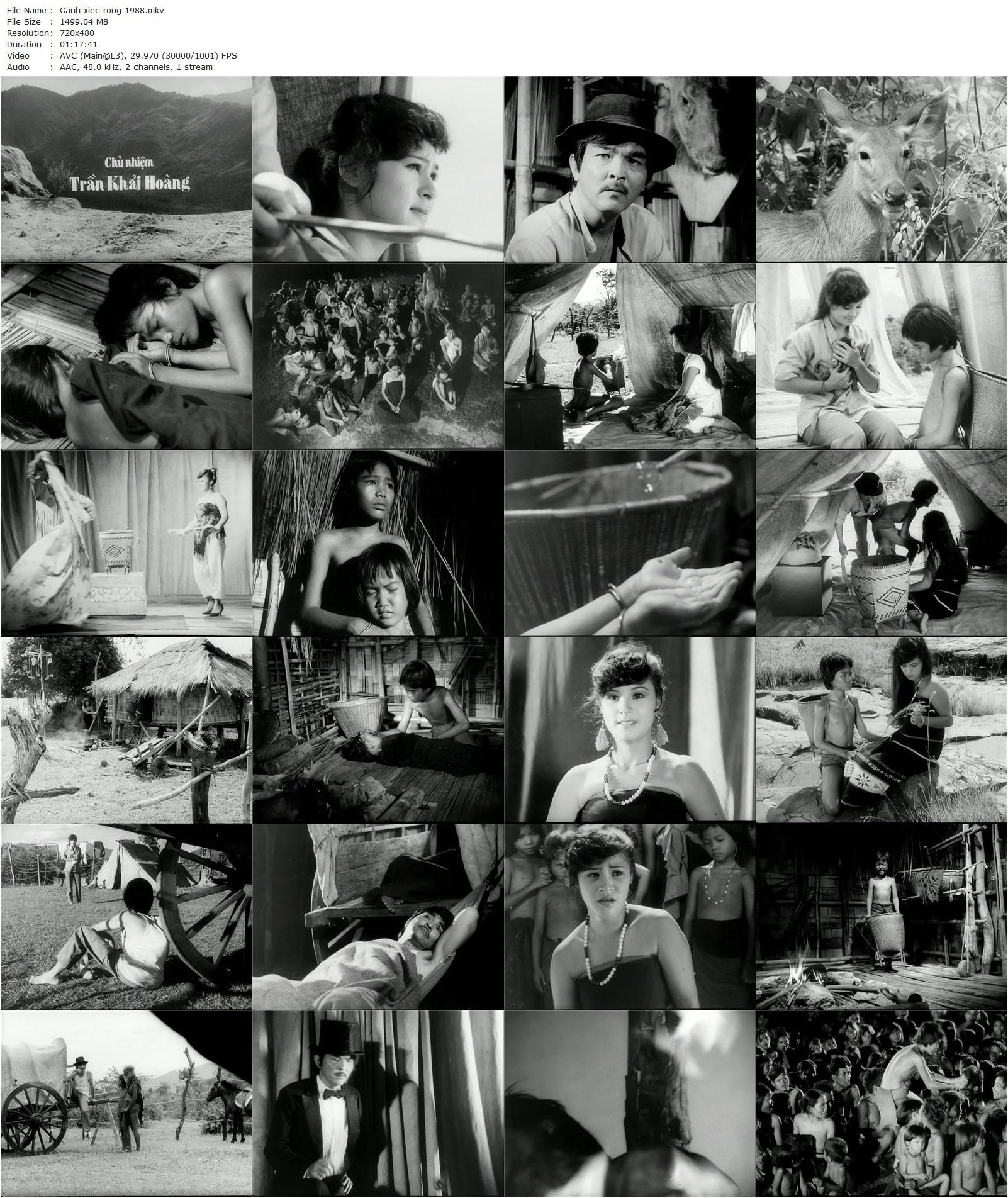 Travelling Circus AKA Gánh xiec rong (1988) Linh Viet, Thé Anh, Son Bac, Khuong Be-poster