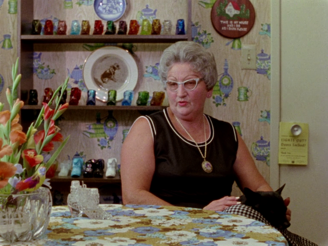 Gates of Heaven (1978)-poster