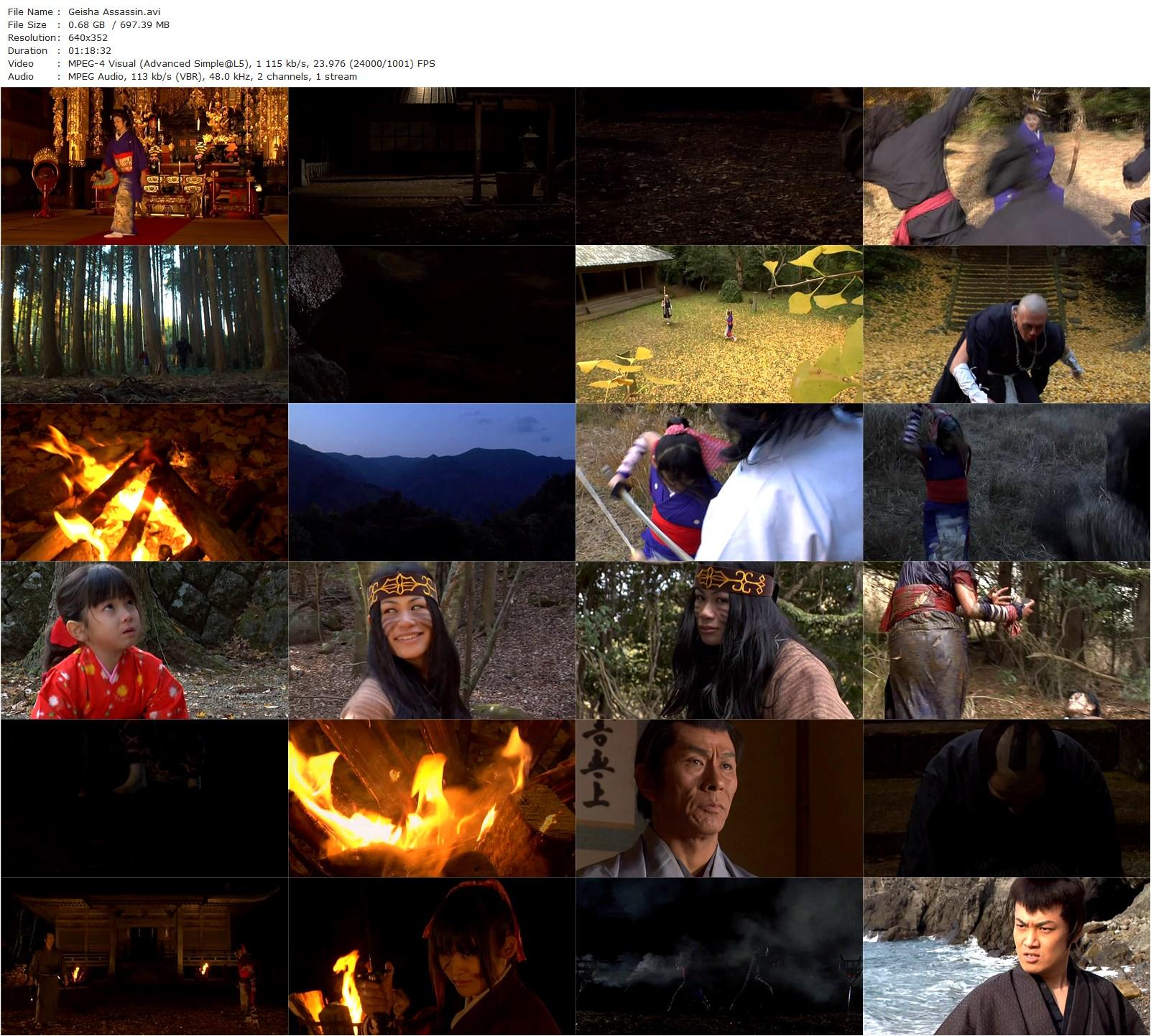 Geisha Assassin / Geisha vs ninja (2008) Gô Ohara, Minami Tsukui, Shigeru Kanai, Nao Nagasawa-poster