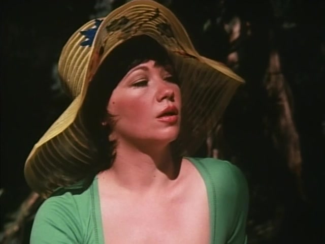 Girls for Rent (1974) Al Adamson, Georgina Spelvin, Susie Ewing, Rosalind Miles, Crime, Drama, Thriller, Erotic-poster